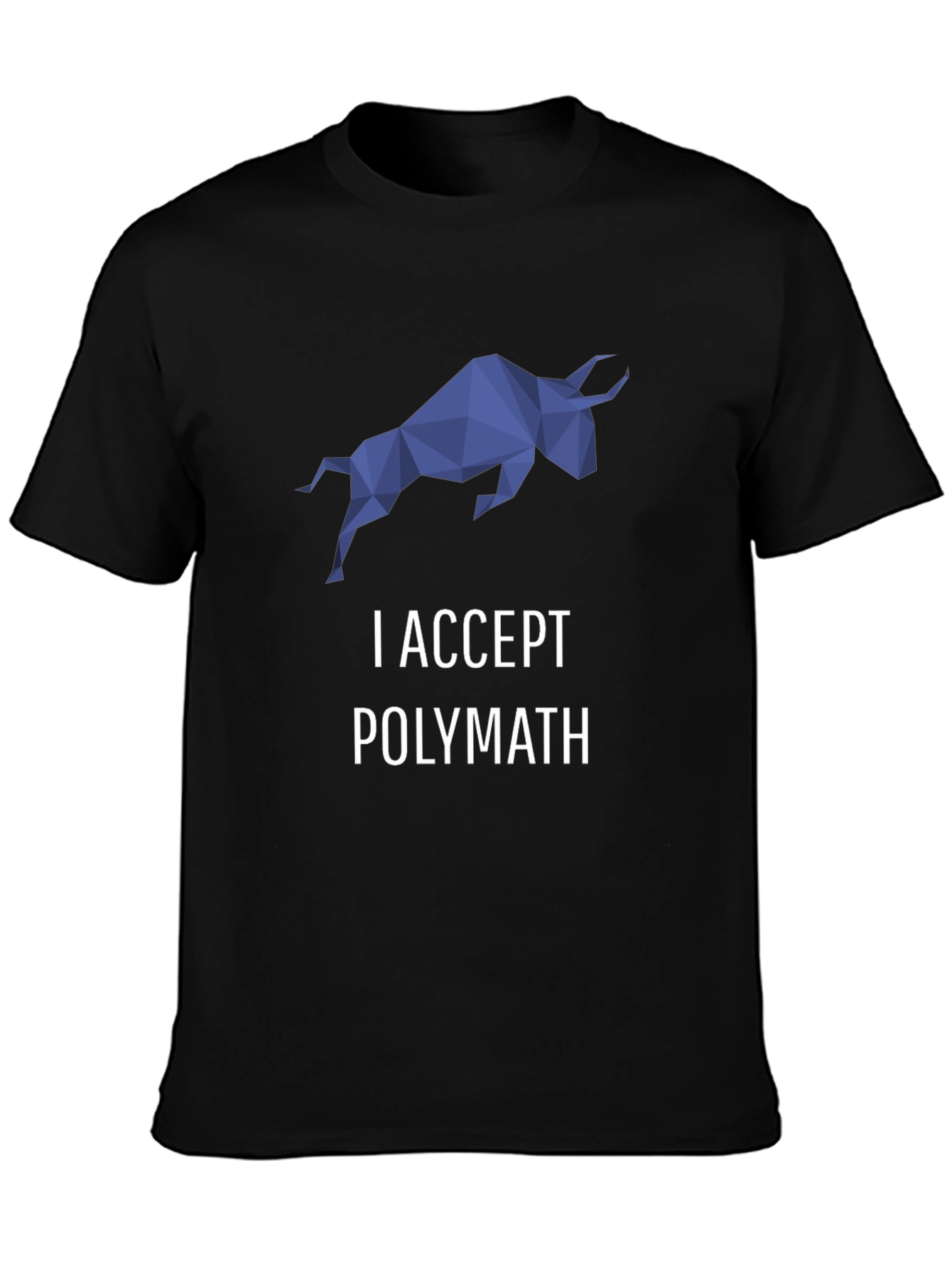 I Accept Polymath Graphic T-Shirt