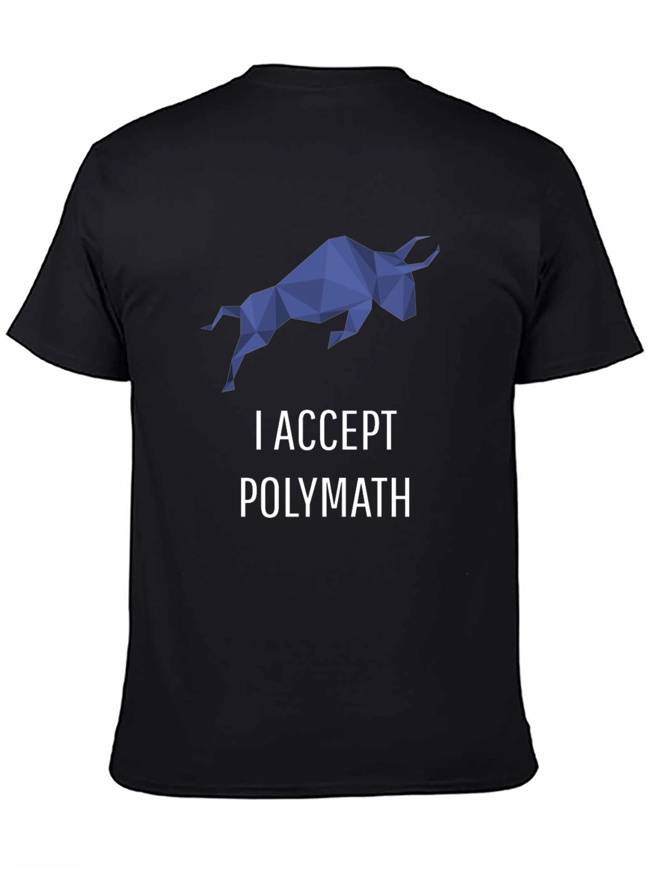 I Accept Polymath Graphic T-Shirt