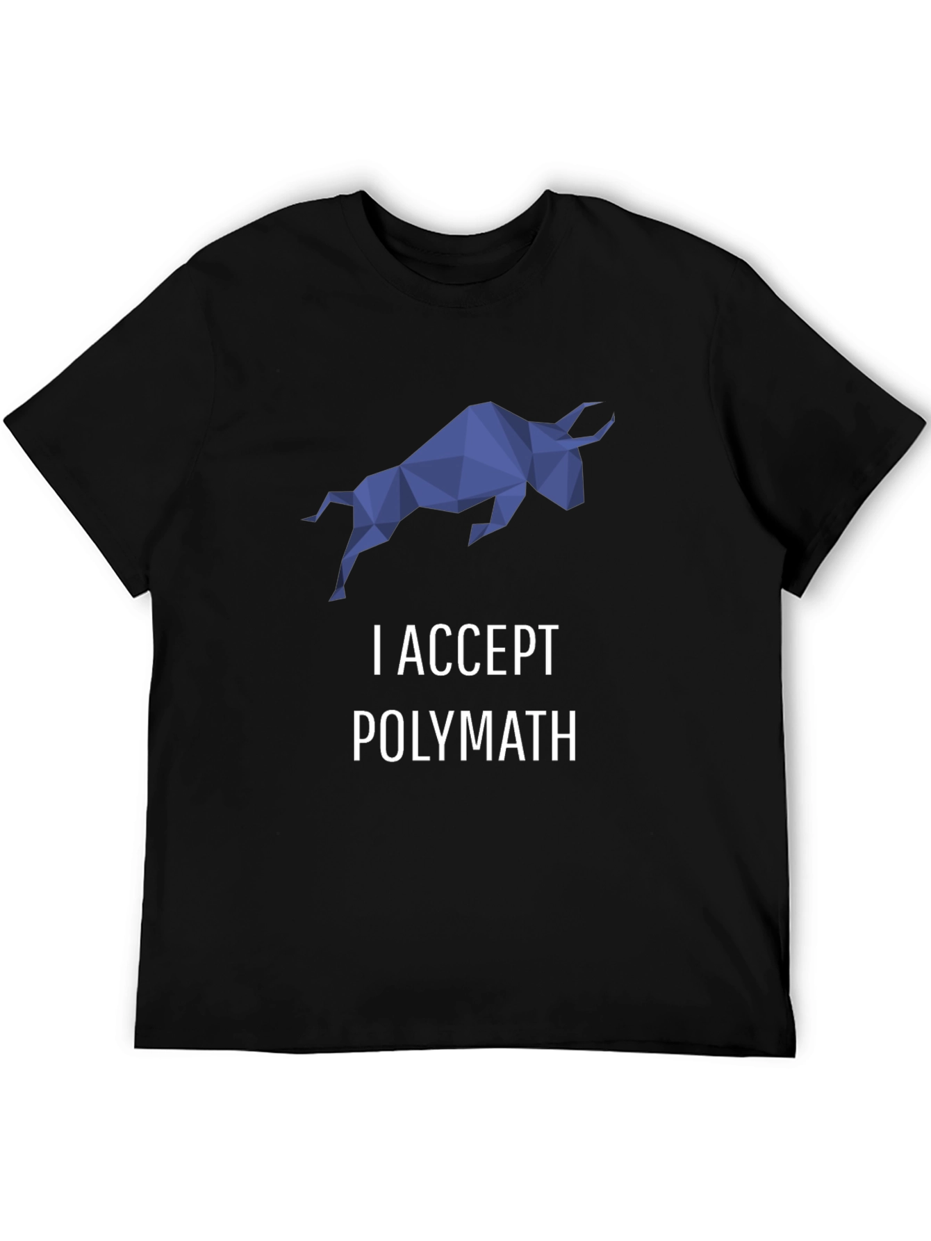 I Accept Polymath Graphic T-Shirt