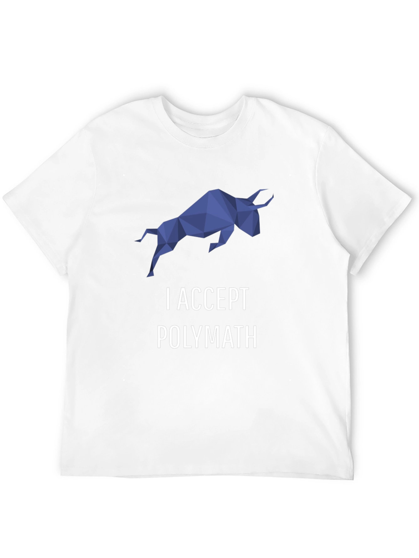 I Accept Polymath Graphic T-Shirt