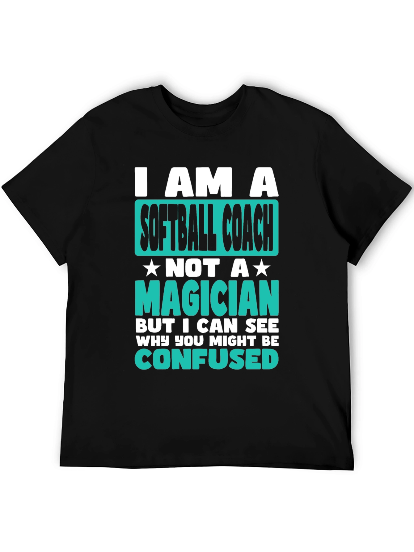 Softball Coach Graphic T-Shirt - Funny Novelty Tee