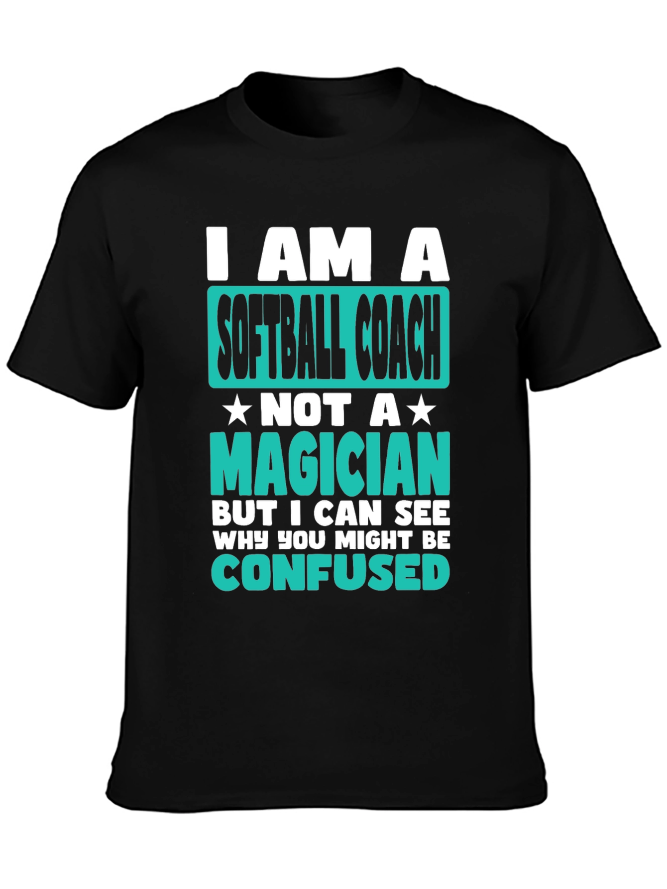 Softball Coach Graphic T-Shirt - Funny Novelty Tee