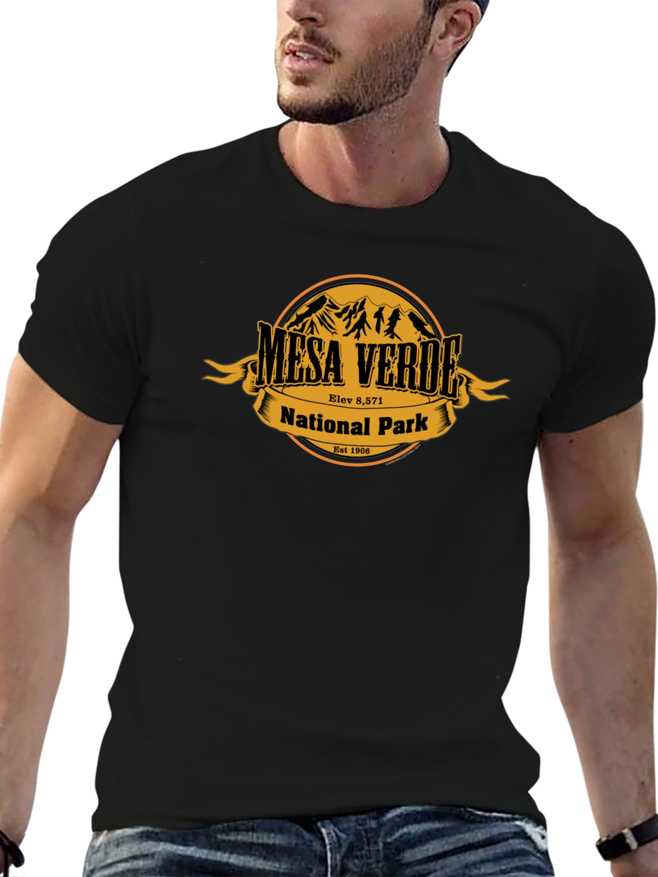 Mesa Verde National Park T-Shirt - Black