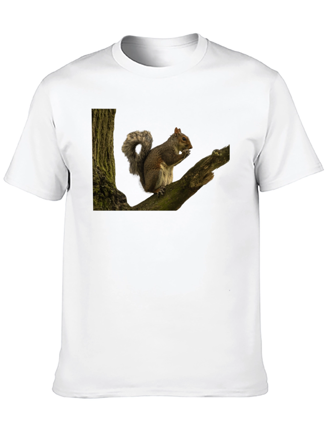 Squirrel On Tree Branch Graphic T-Shirt