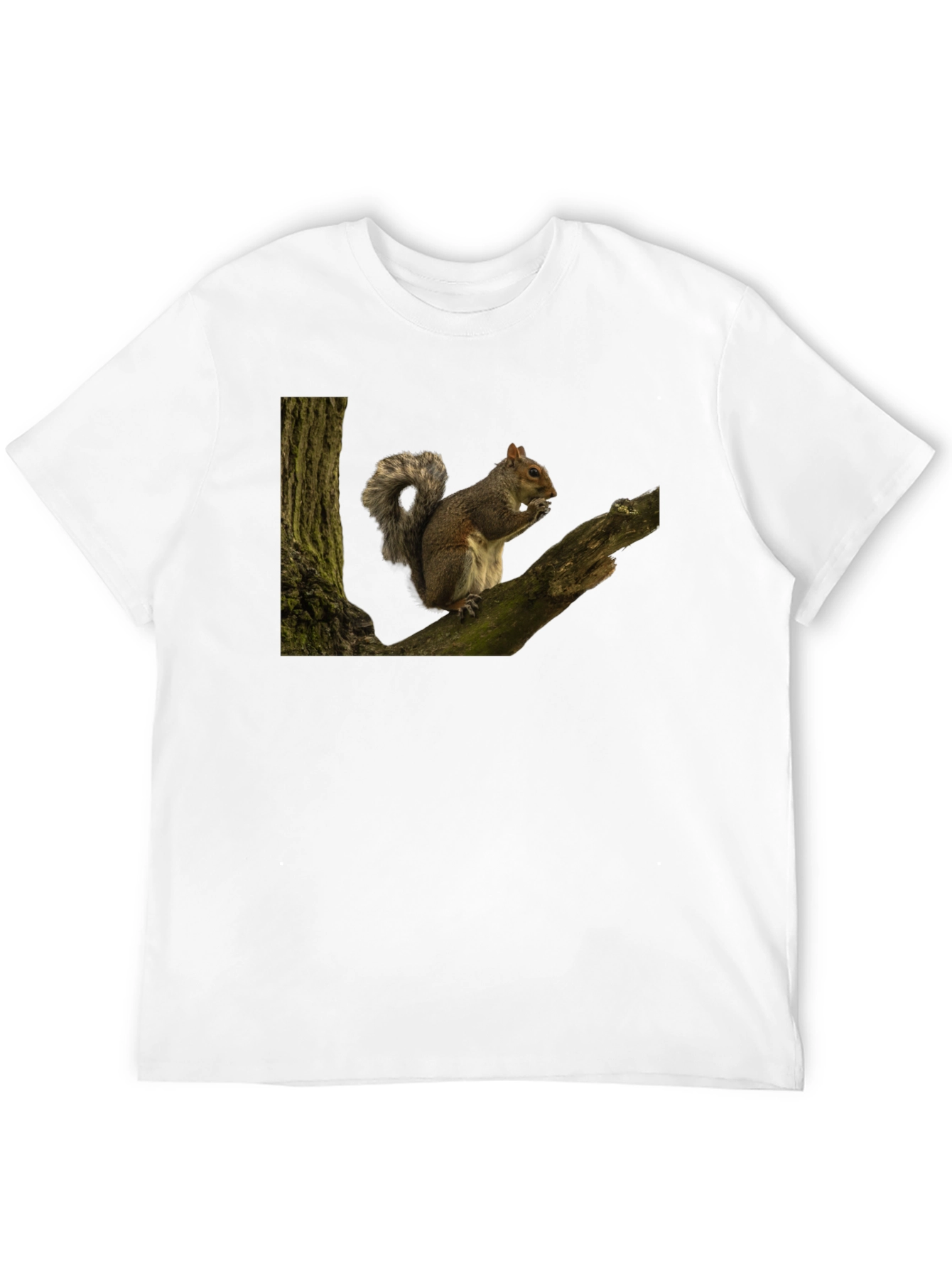 Squirrel On Tree Branch Graphic T-Shirt