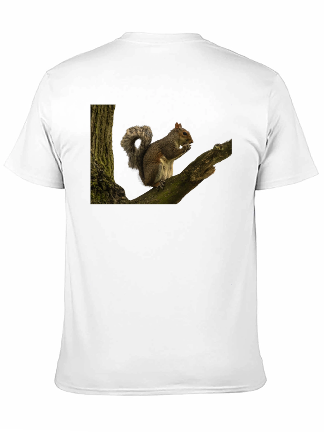 Squirrel On Tree Branch Graphic T-Shirt