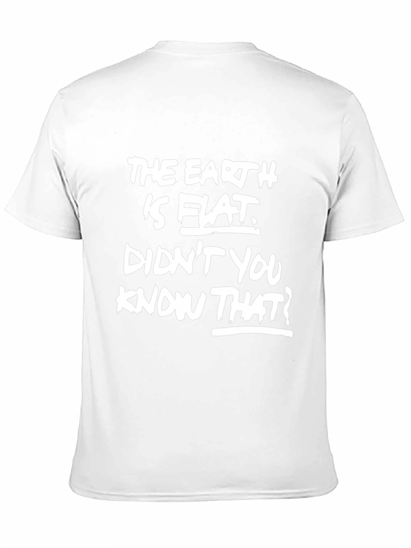 The Earth is Flat Mens Black Graphic Tee