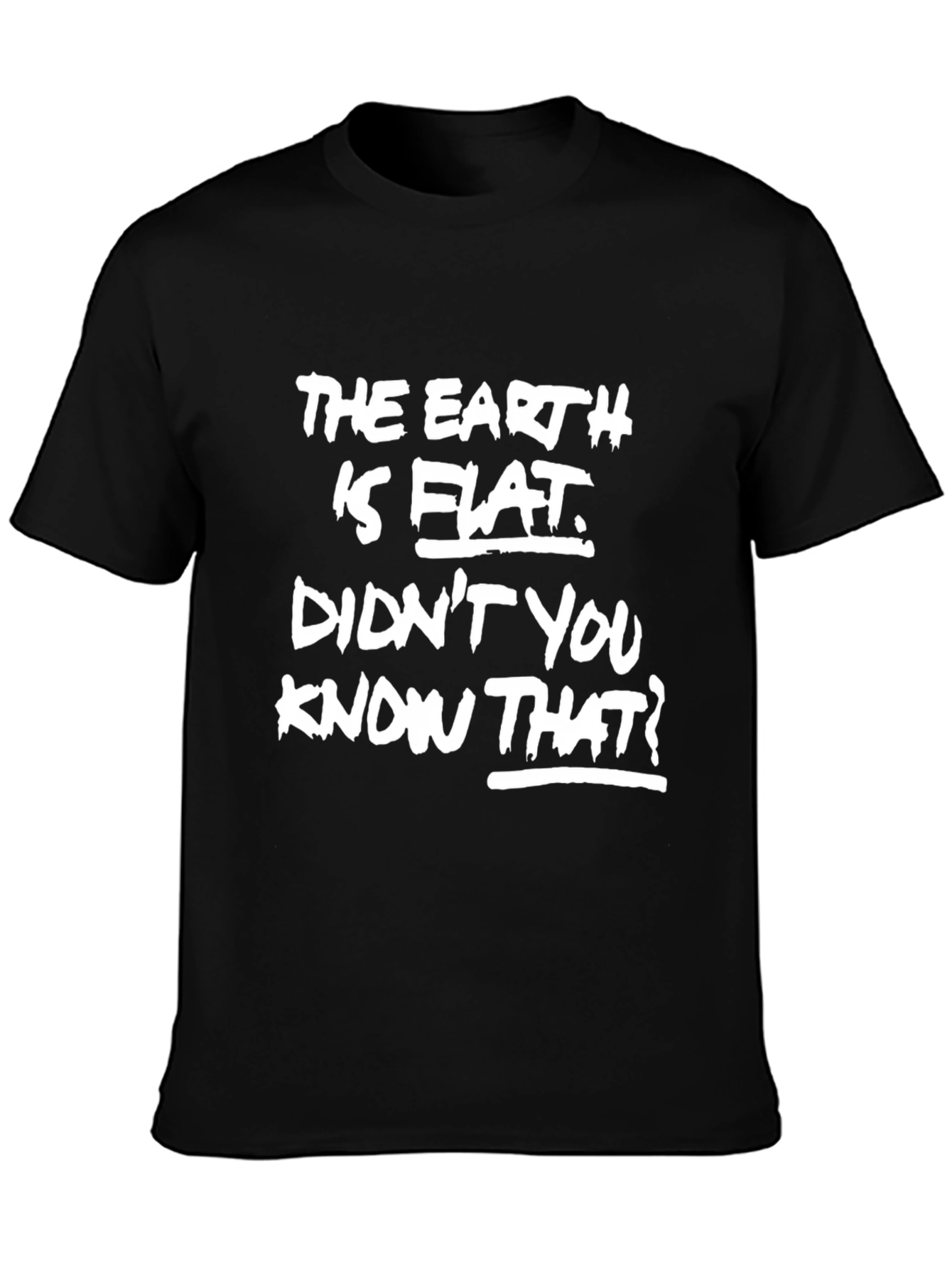 The Earth is Flat Mens Black Graphic Tee