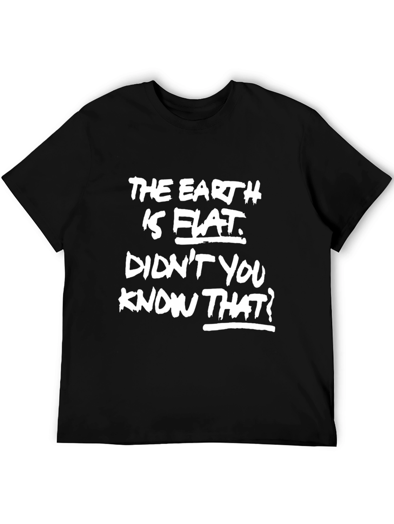The Earth is Flat Mens Black Graphic Tee