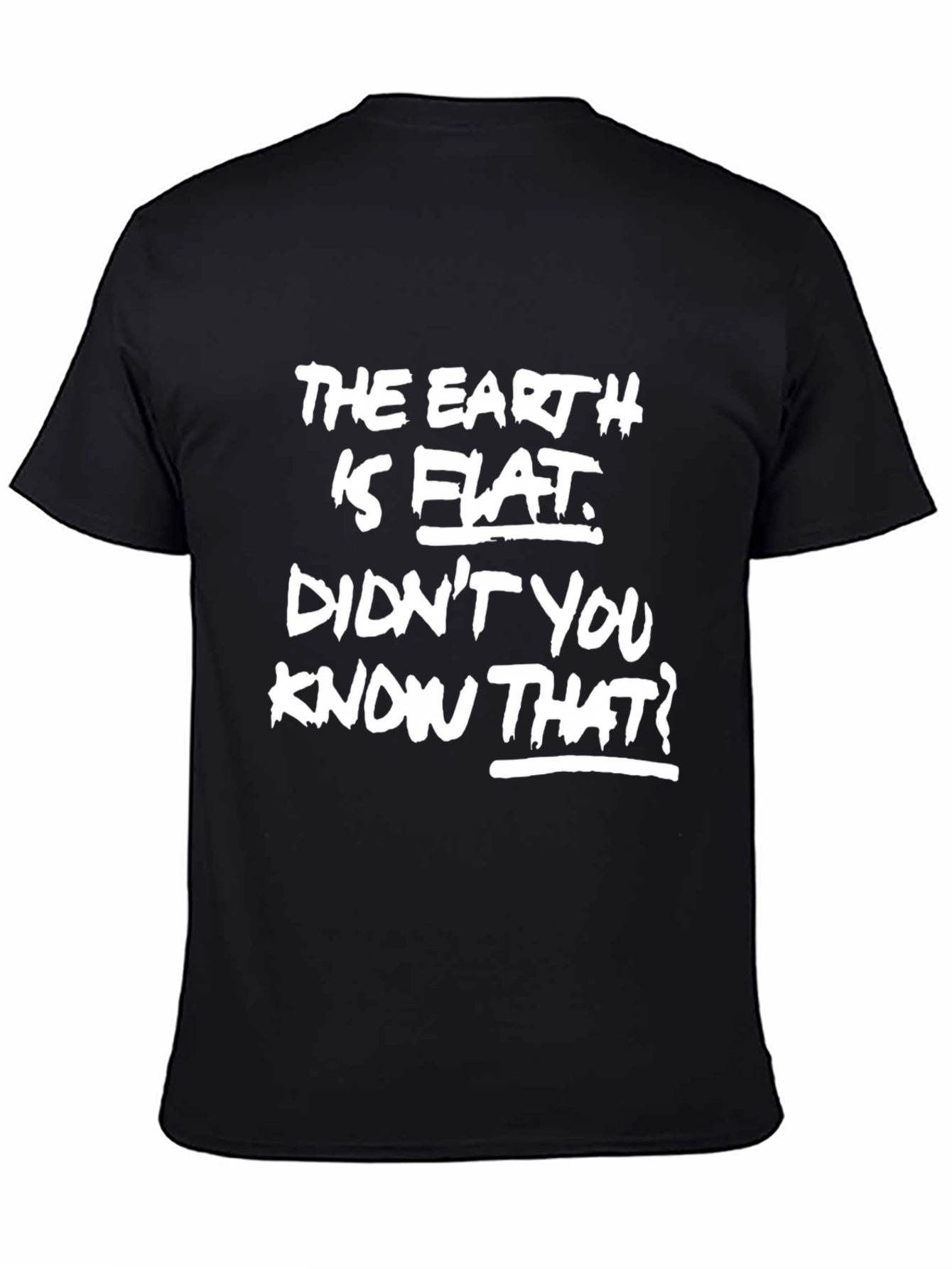 The Earth is Flat Mens Black Graphic Tee