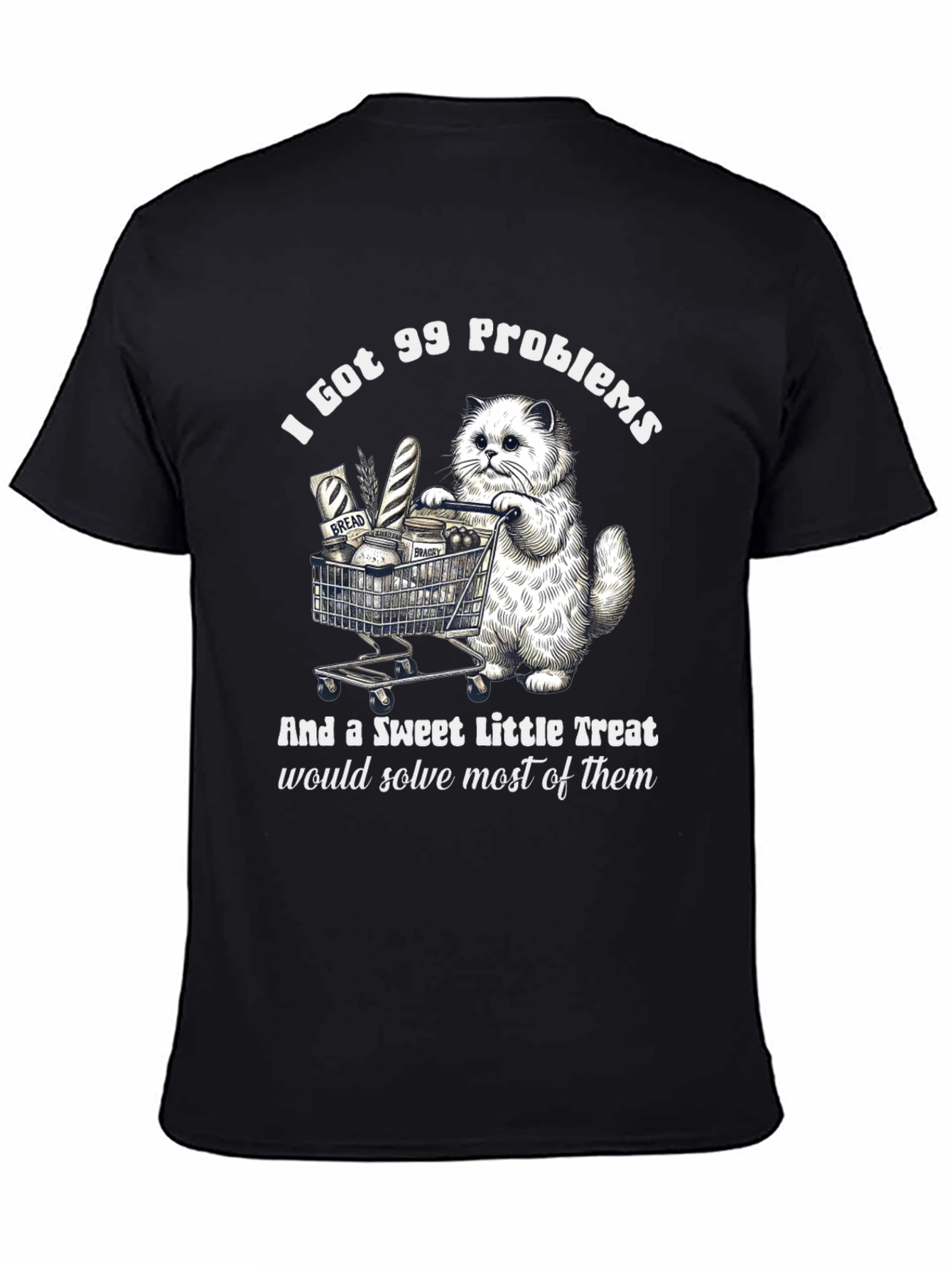 I Got 99 Problems Cat T-Shirt