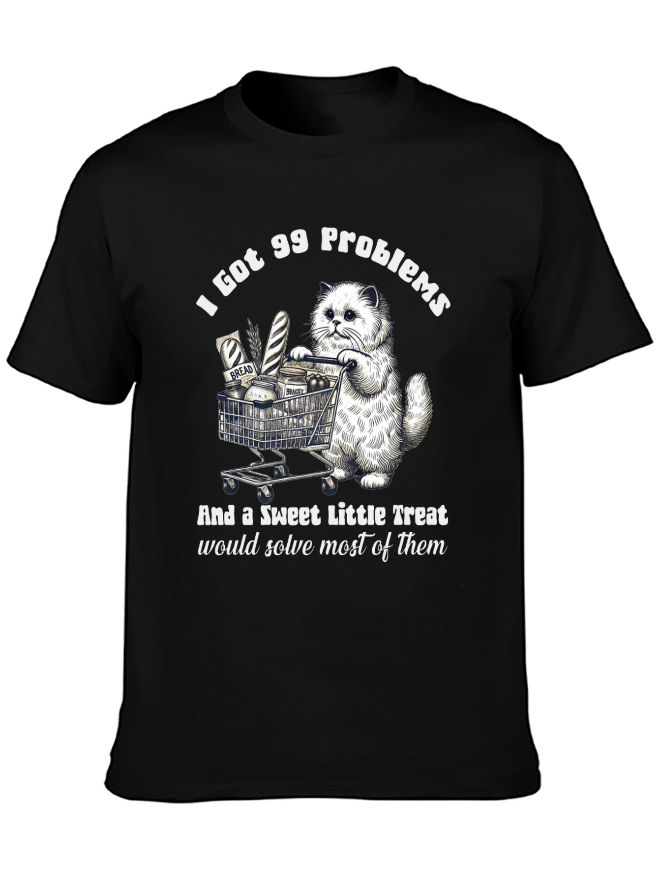 I Got 99 Problems Cat T-Shirt