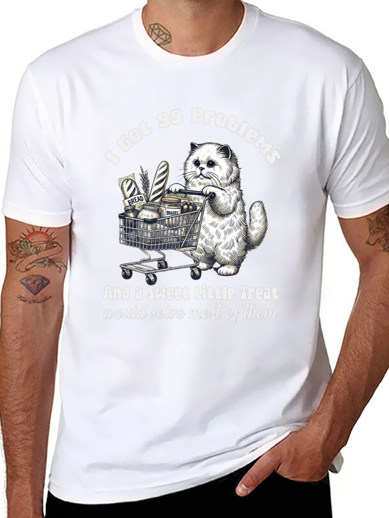 I Got 99 Problems Cat T-Shirt