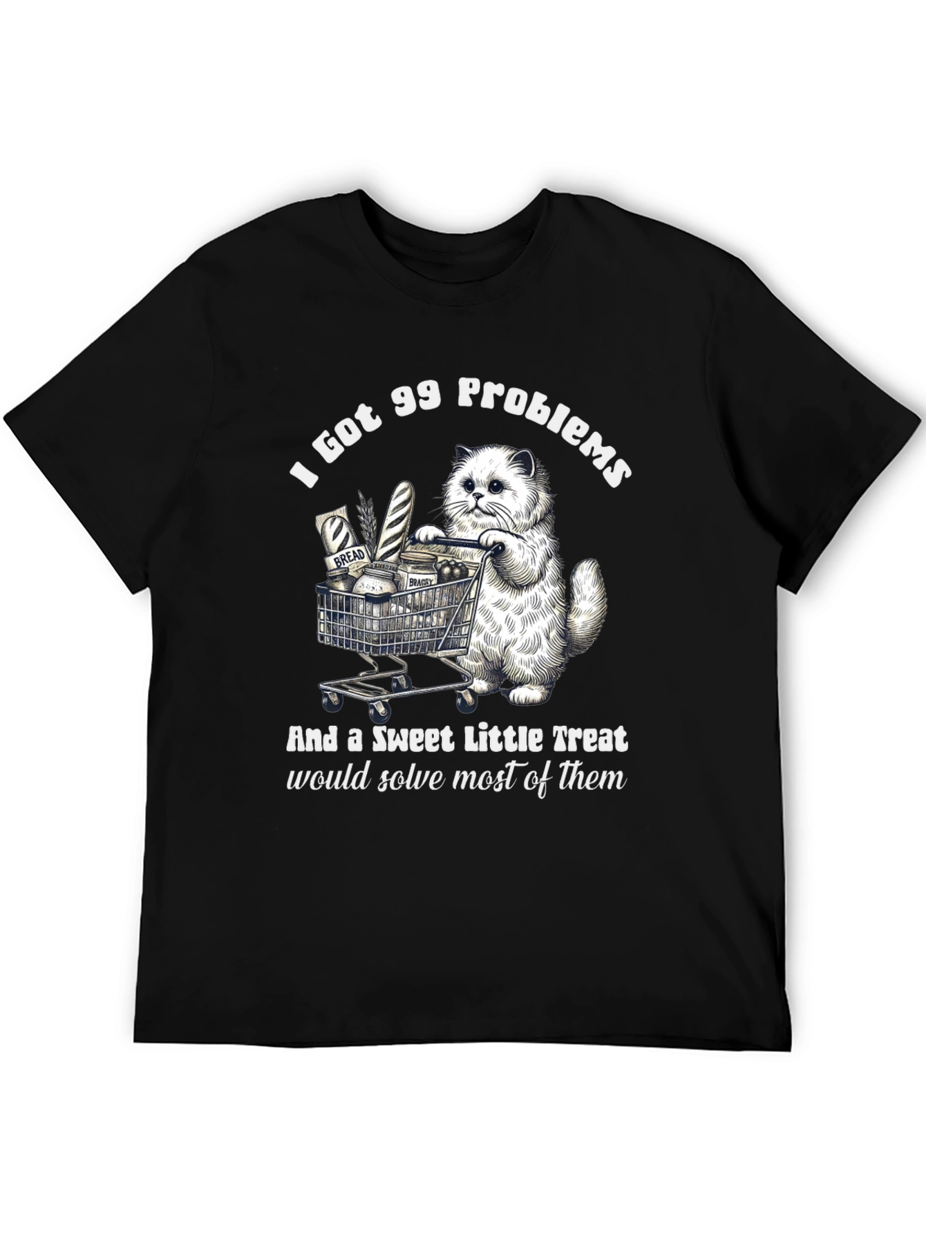 I Got 99 Problems Cat T-Shirt