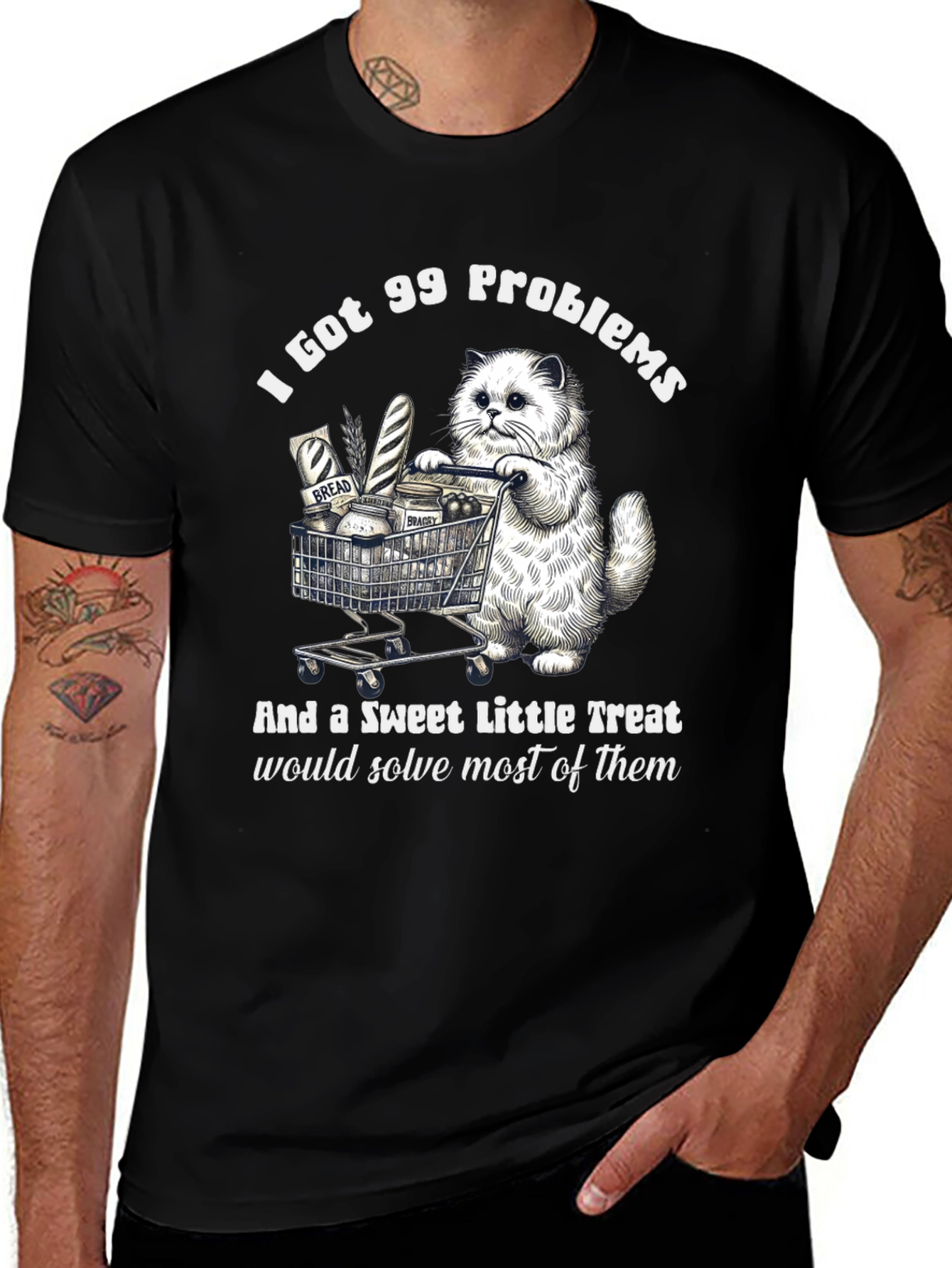 I Got 99 Problems Cat T-Shirt