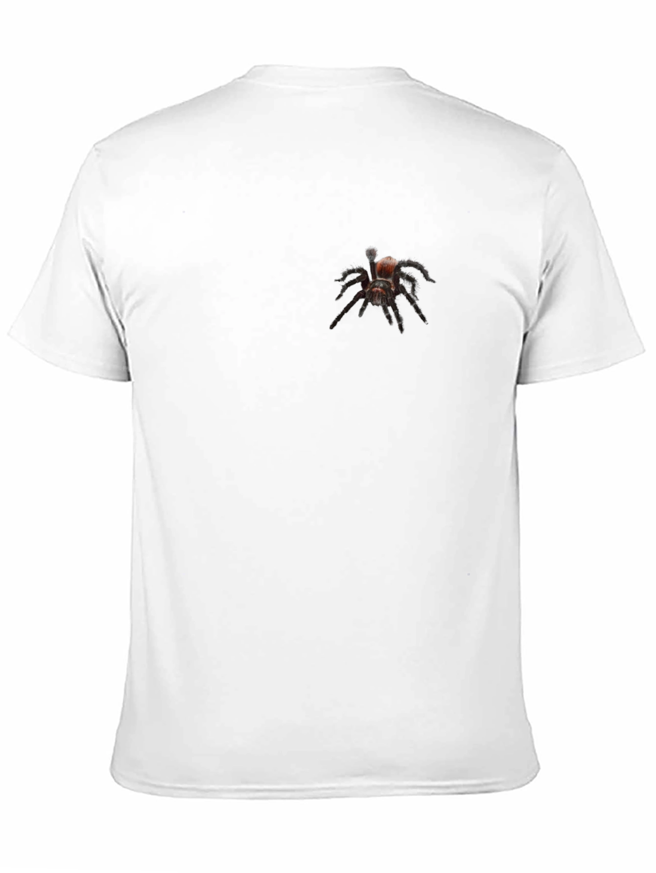 Tarantula Graphic Tee - Black Cotton Blend