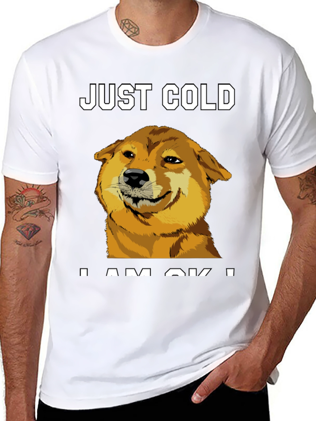 Just Cold? Doge Meme Graphic Tee - Black