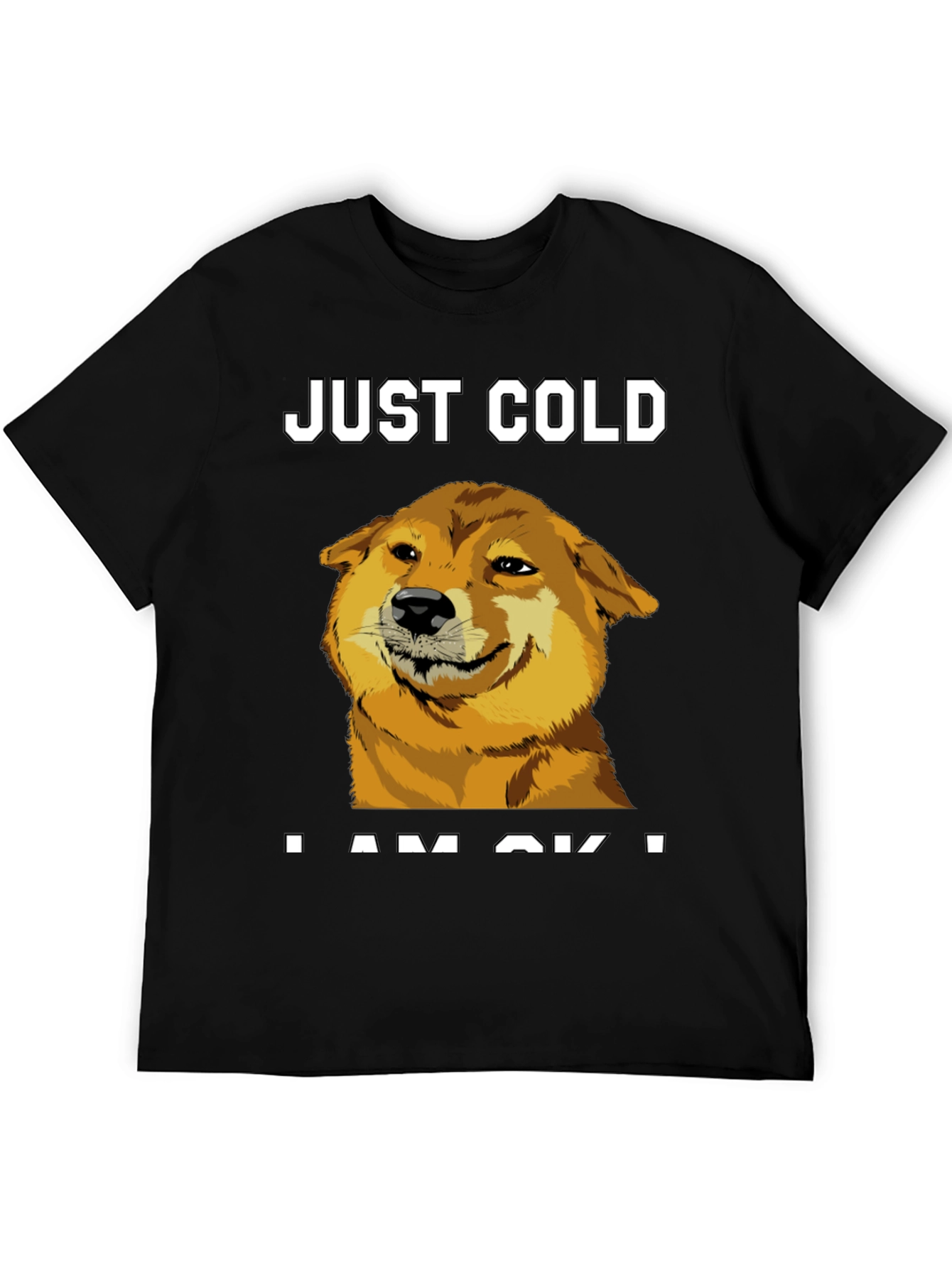 Just Cold? Doge Meme Graphic Tee - Black
