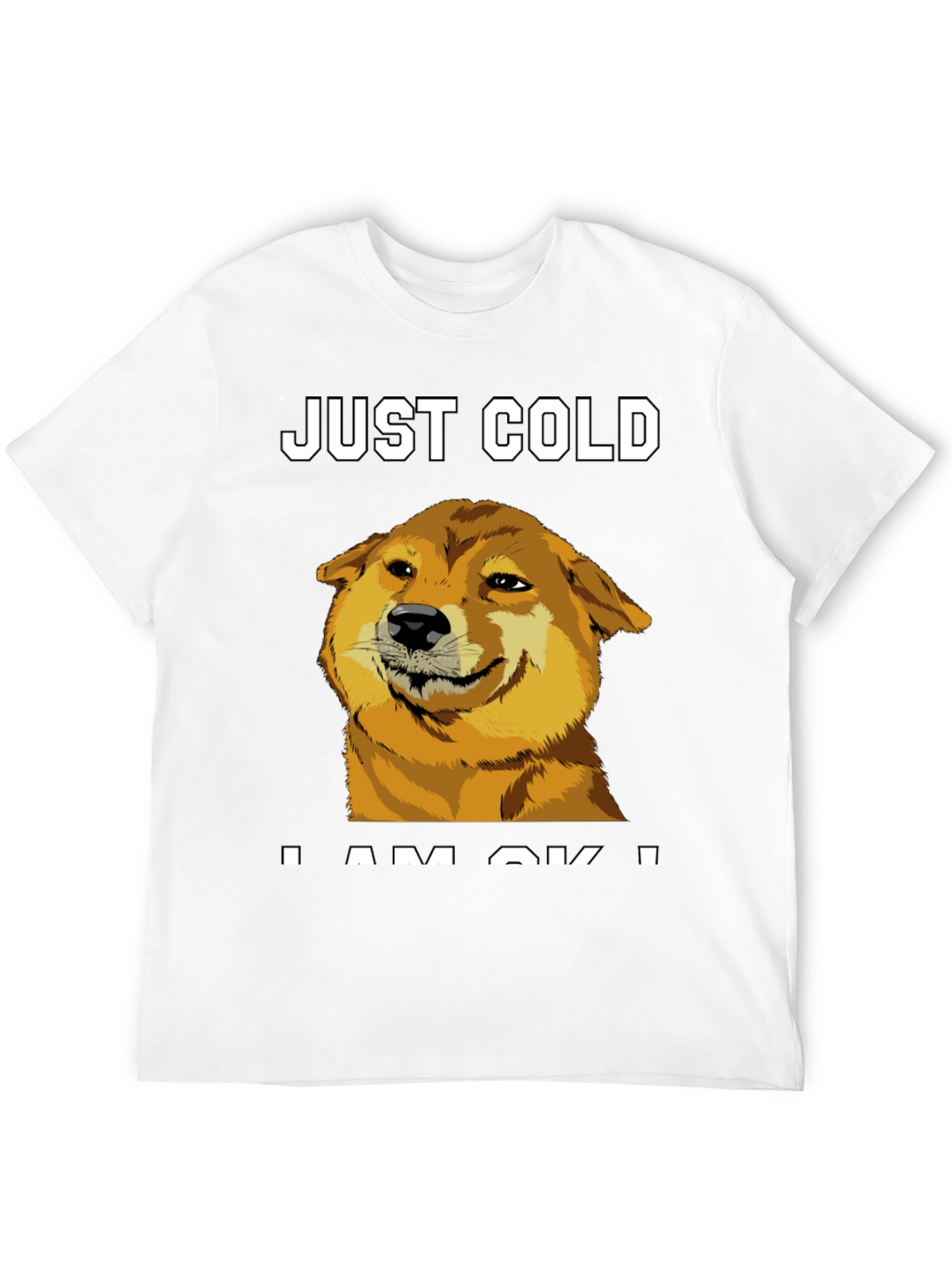 Just Cold? Doge Meme Graphic Tee - Black