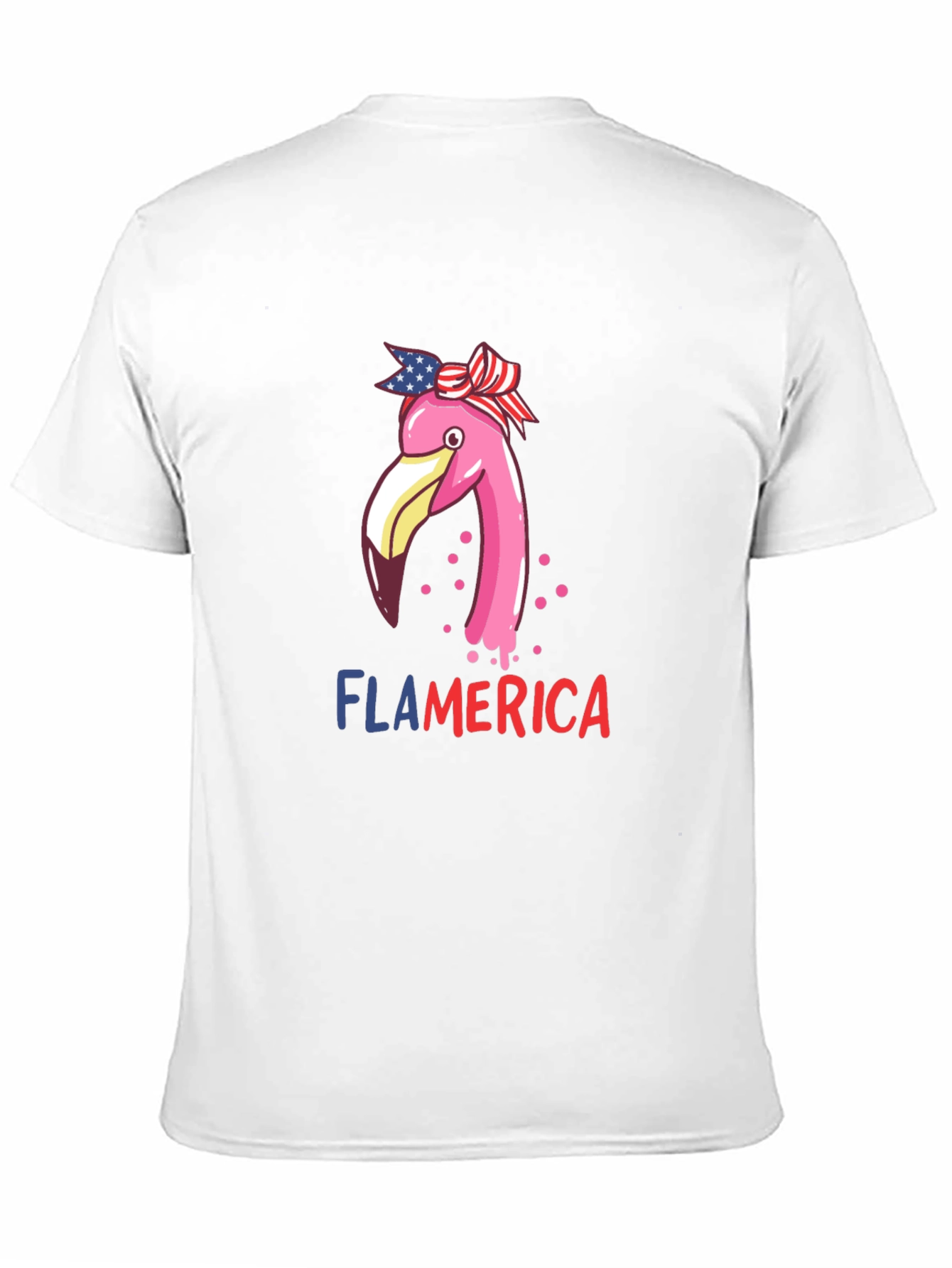 Flamerica T-Shirt