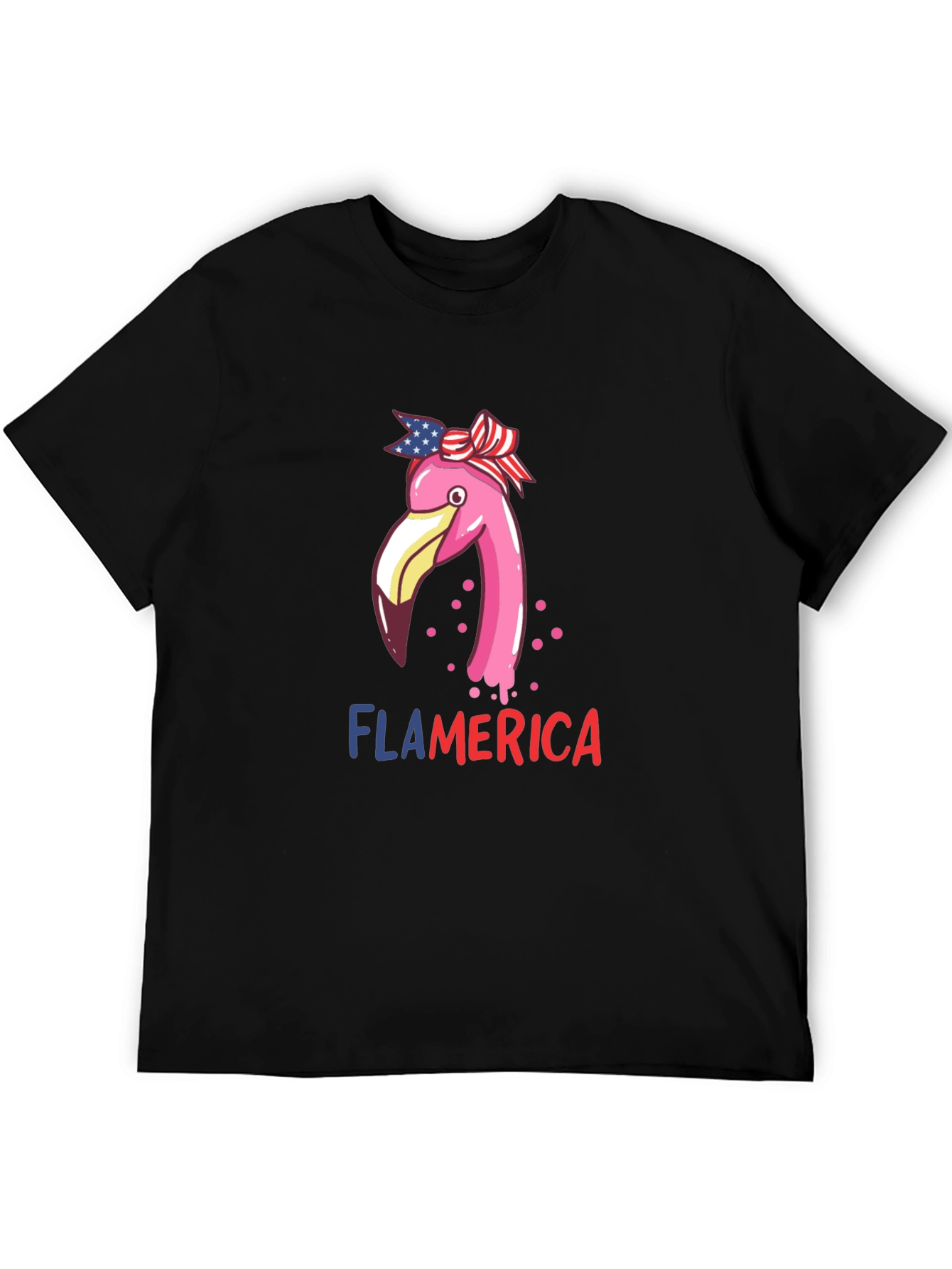 Flamerica T-Shirt