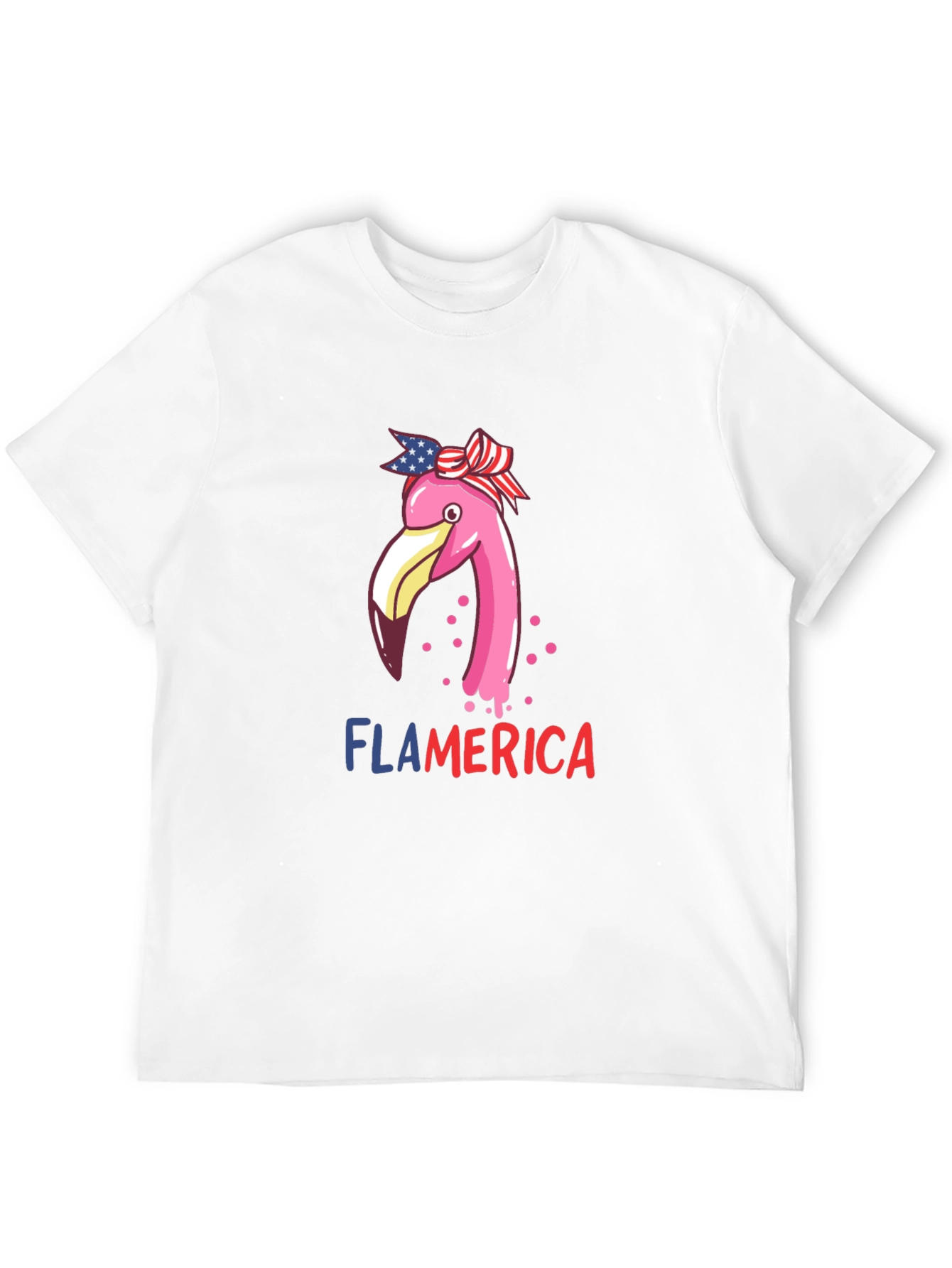 Flamerica T-Shirt