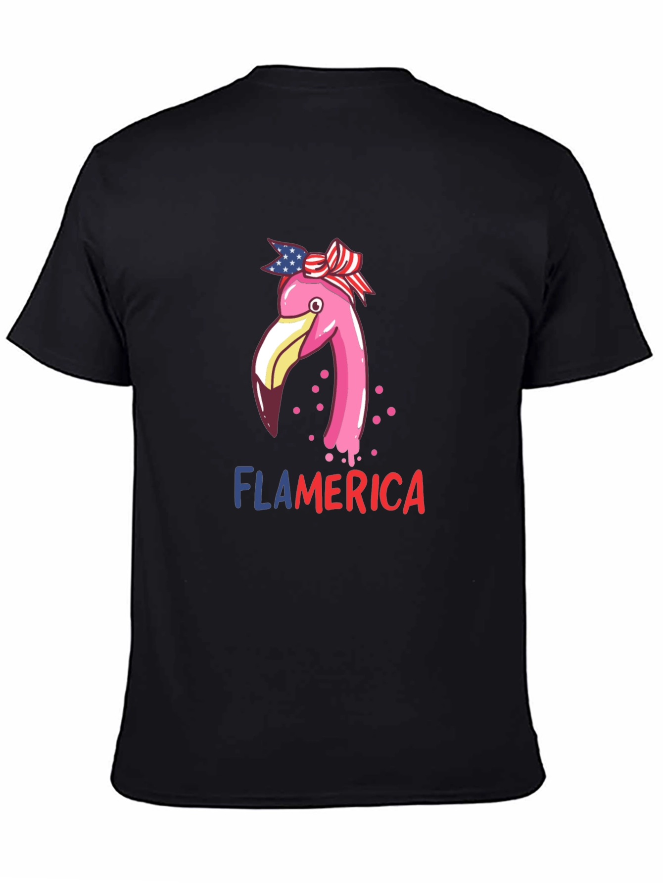 Flamerica T-Shirt