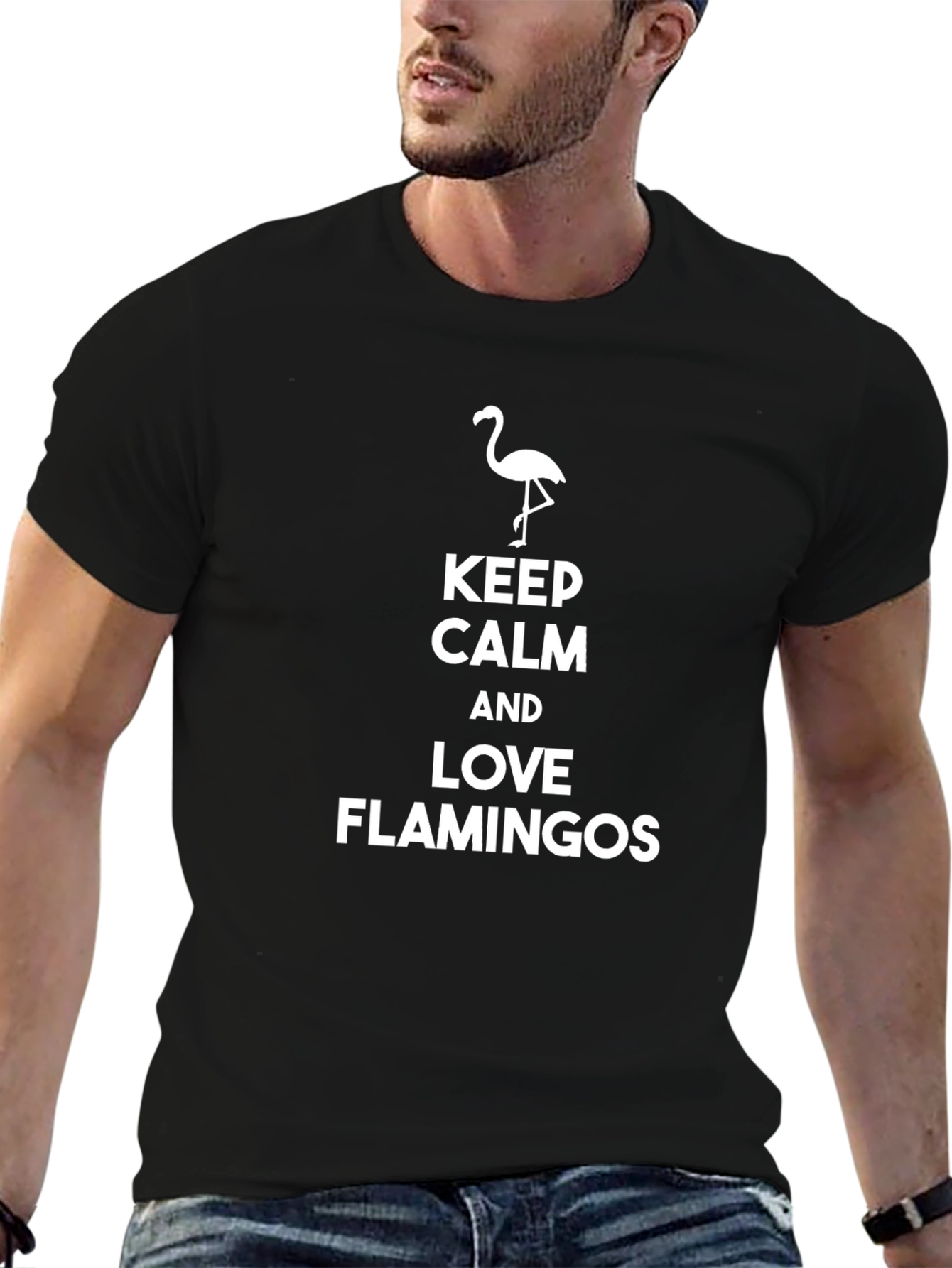 Keep Calm and Love Flamingos T-Shirt