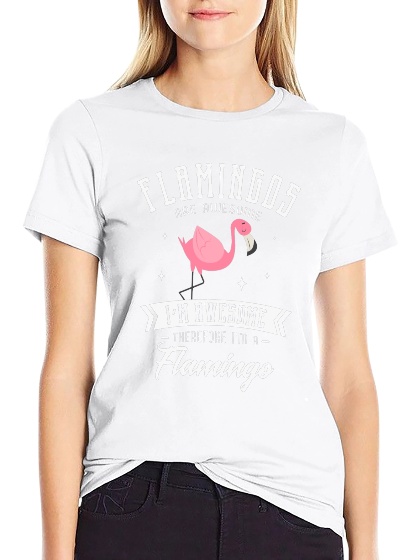 Funny Flamingo T-Shirt - Flamingos Are Awesome!