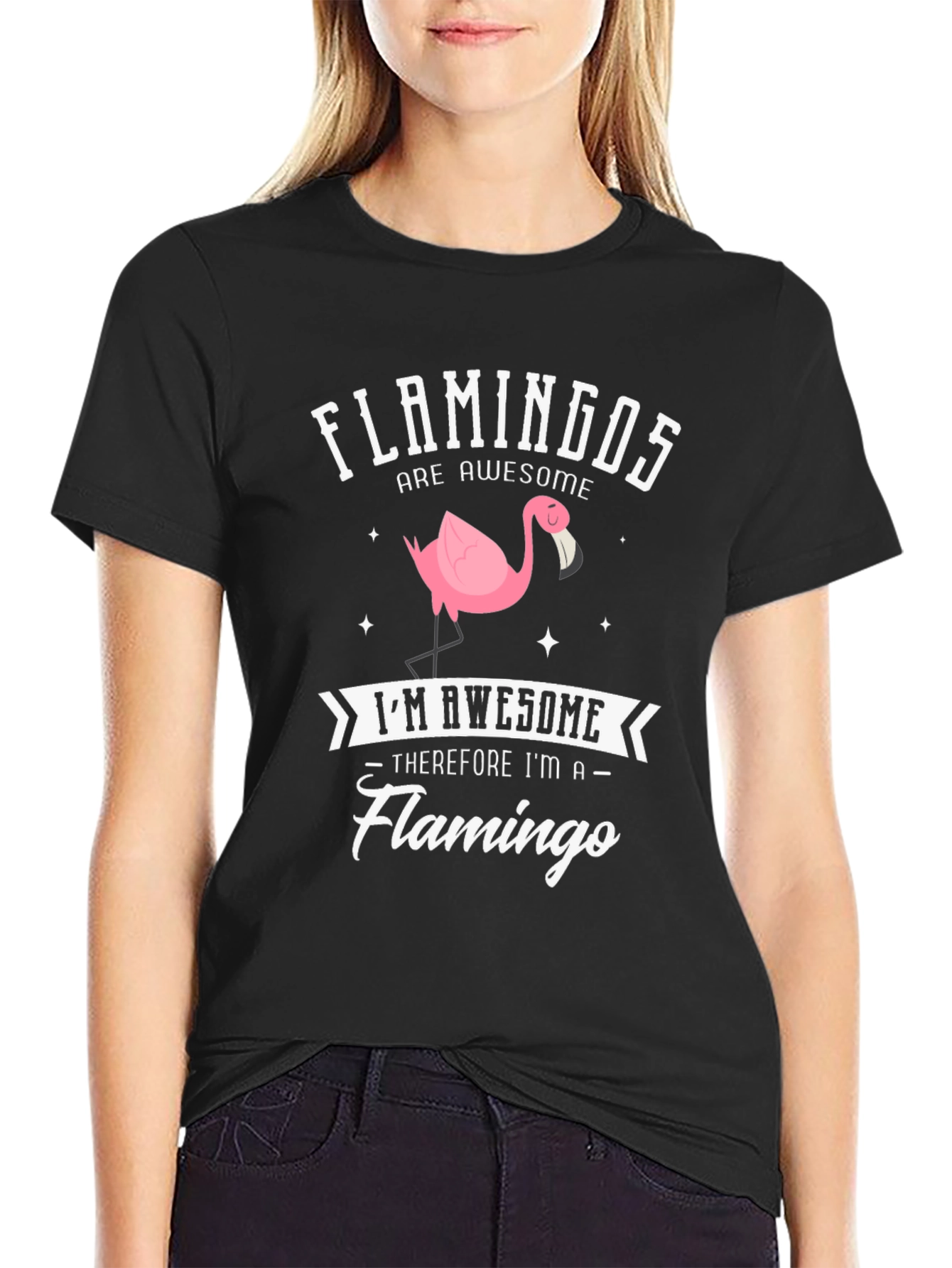 Funny Flamingo T-Shirt - Flamingos Are Awesome!