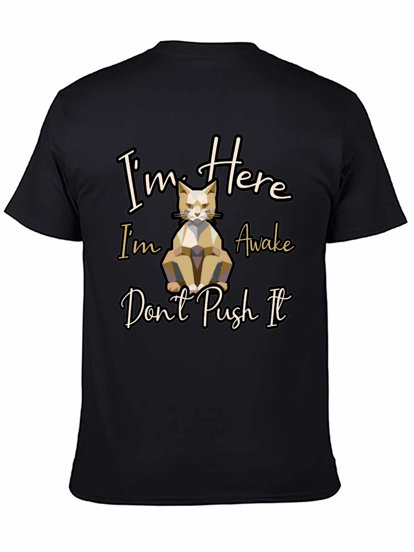 Im Here Awake Dont Push It Cat T-Shirt