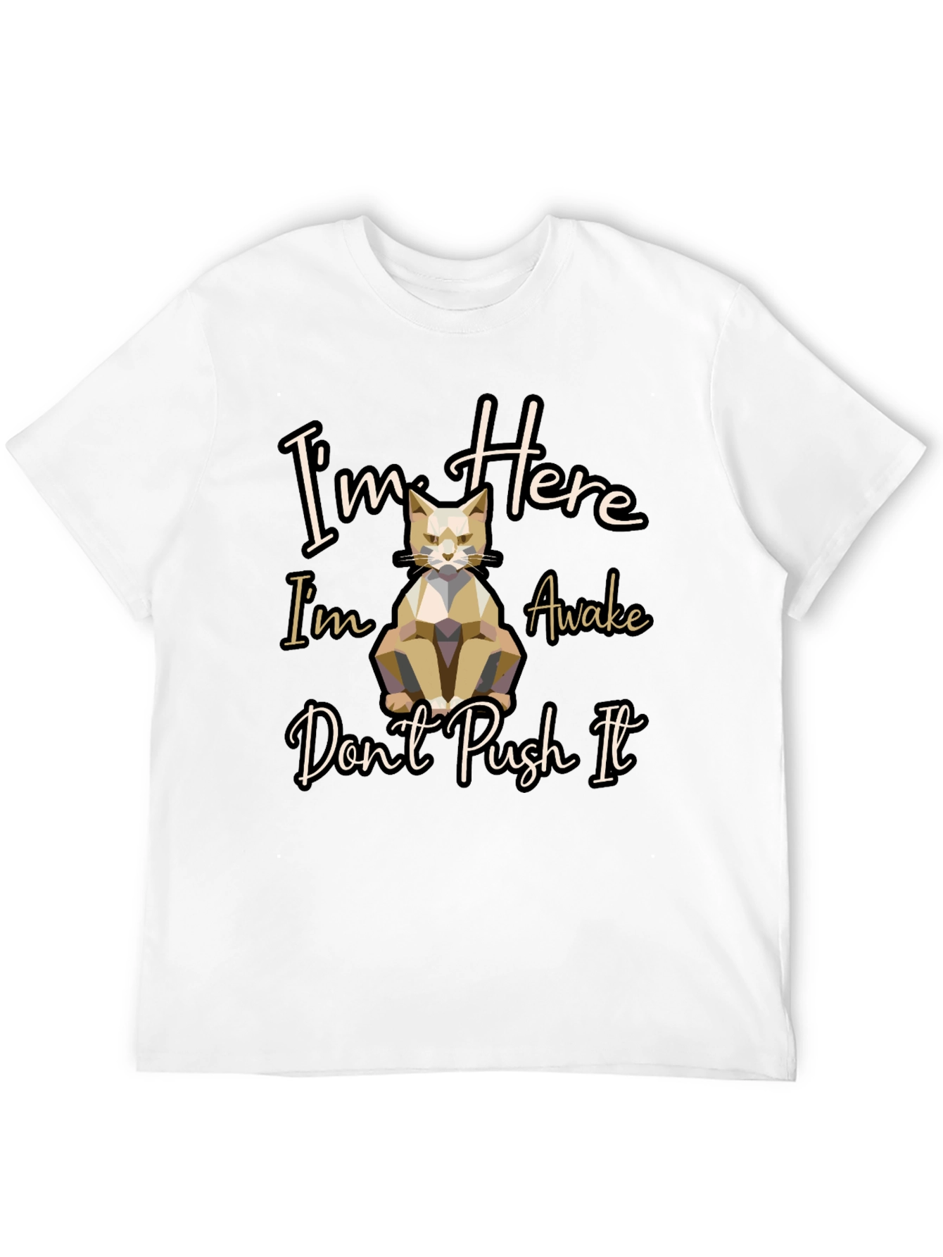 Im Here Awake Dont Push It Cat T-Shirt