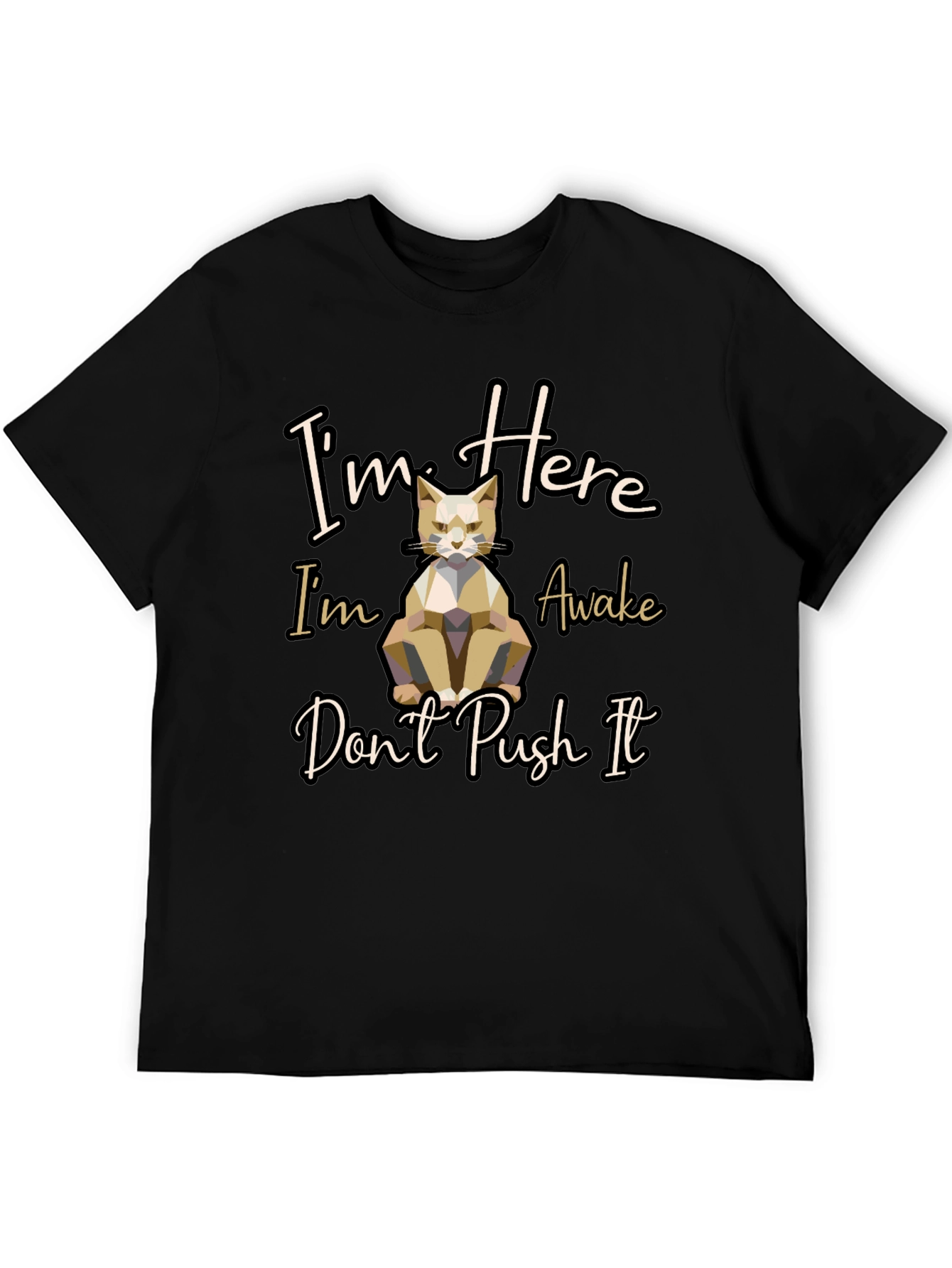 Im Here Awake Dont Push It Cat T-Shirt