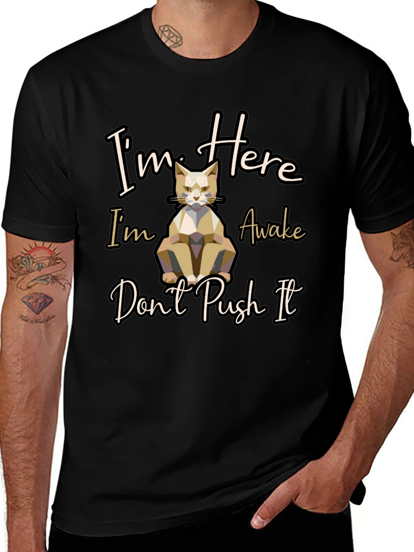 Im Here Awake Dont Push It Cat T-Shirt