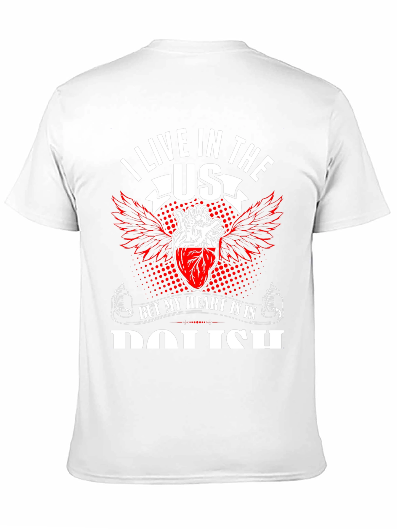 I Live in The US T-Shirt