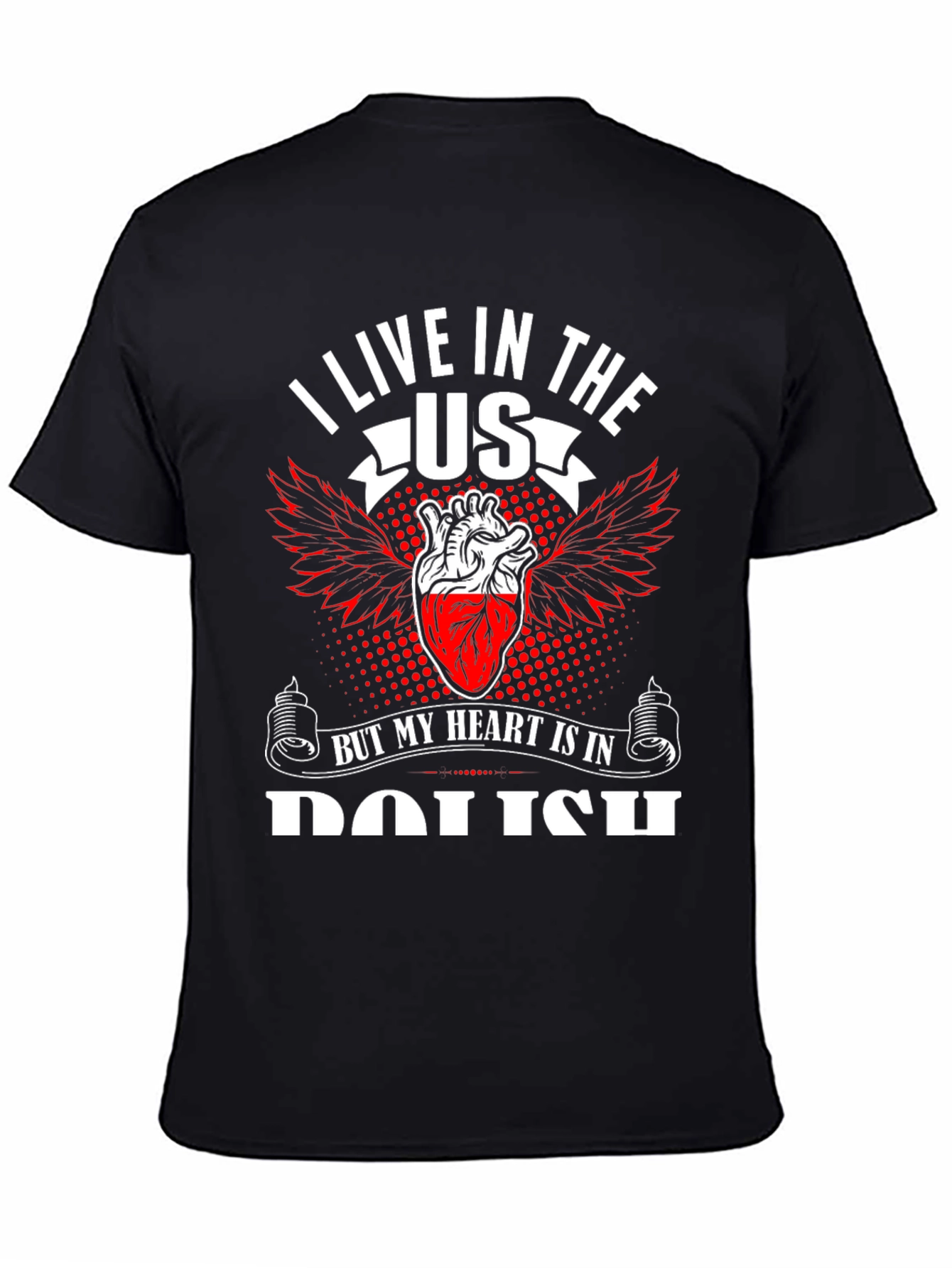I Live in The US T-Shirt