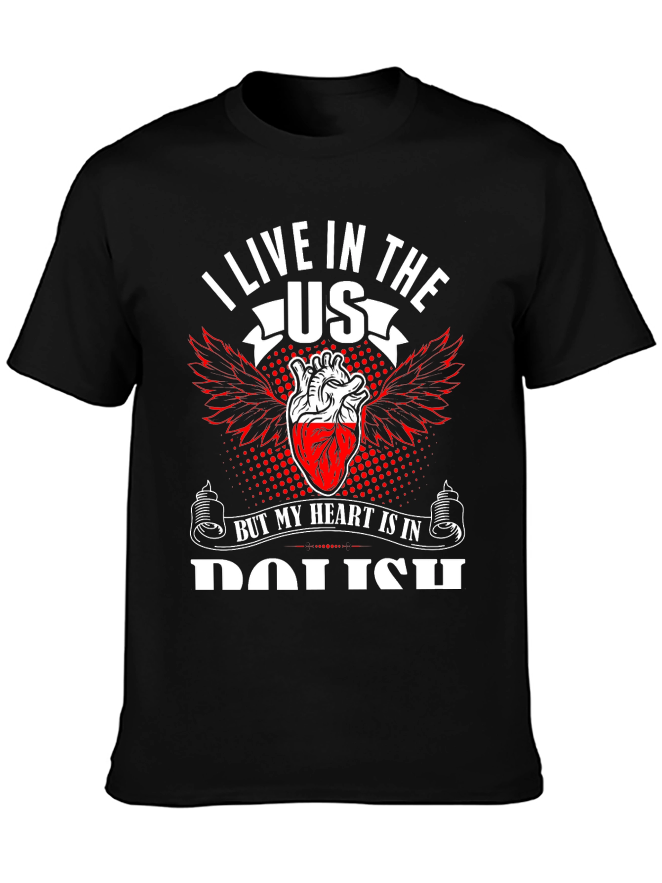 I Live in The US T-Shirt