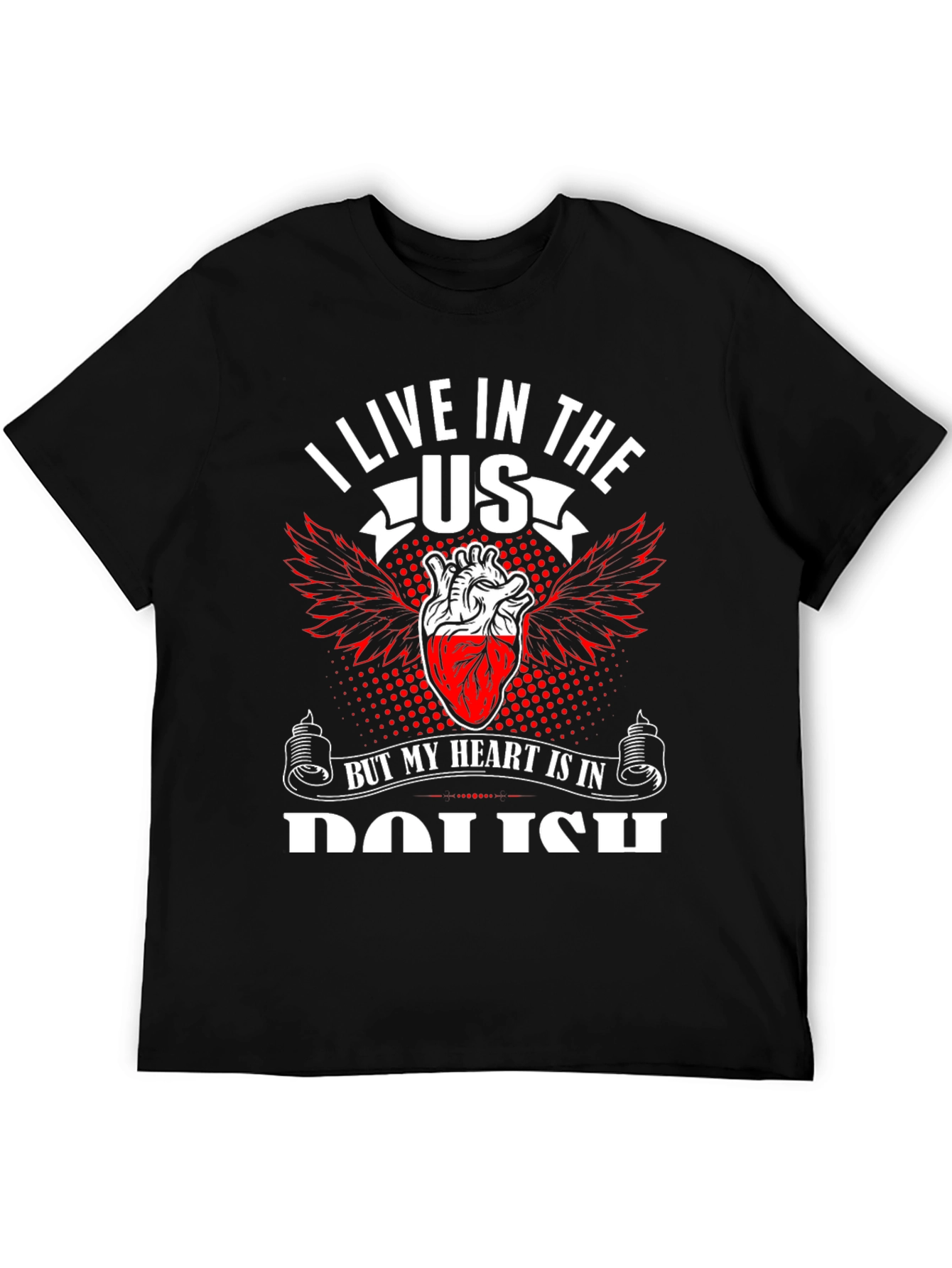 I Live in The US T-Shirt