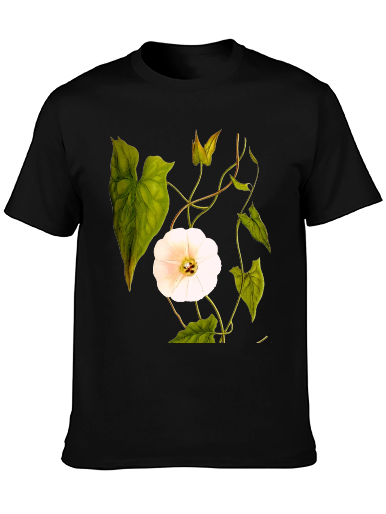 Botanical Floral Print T-Shirt