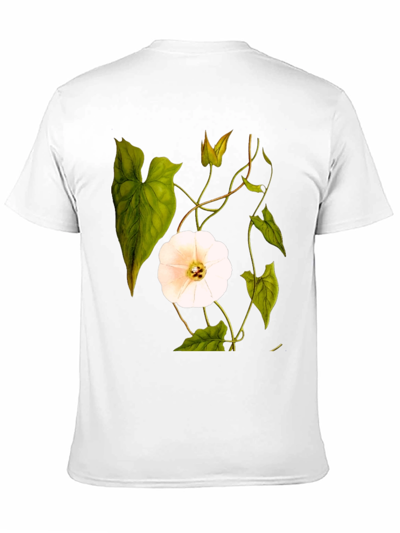 Botanical Floral Print T-Shirt