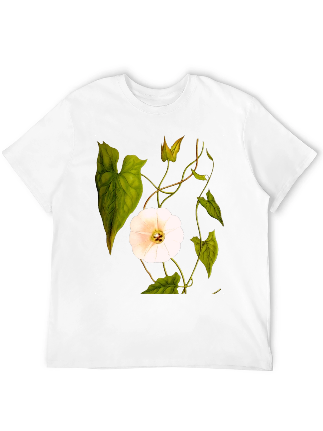 Botanical Floral Print T-Shirt