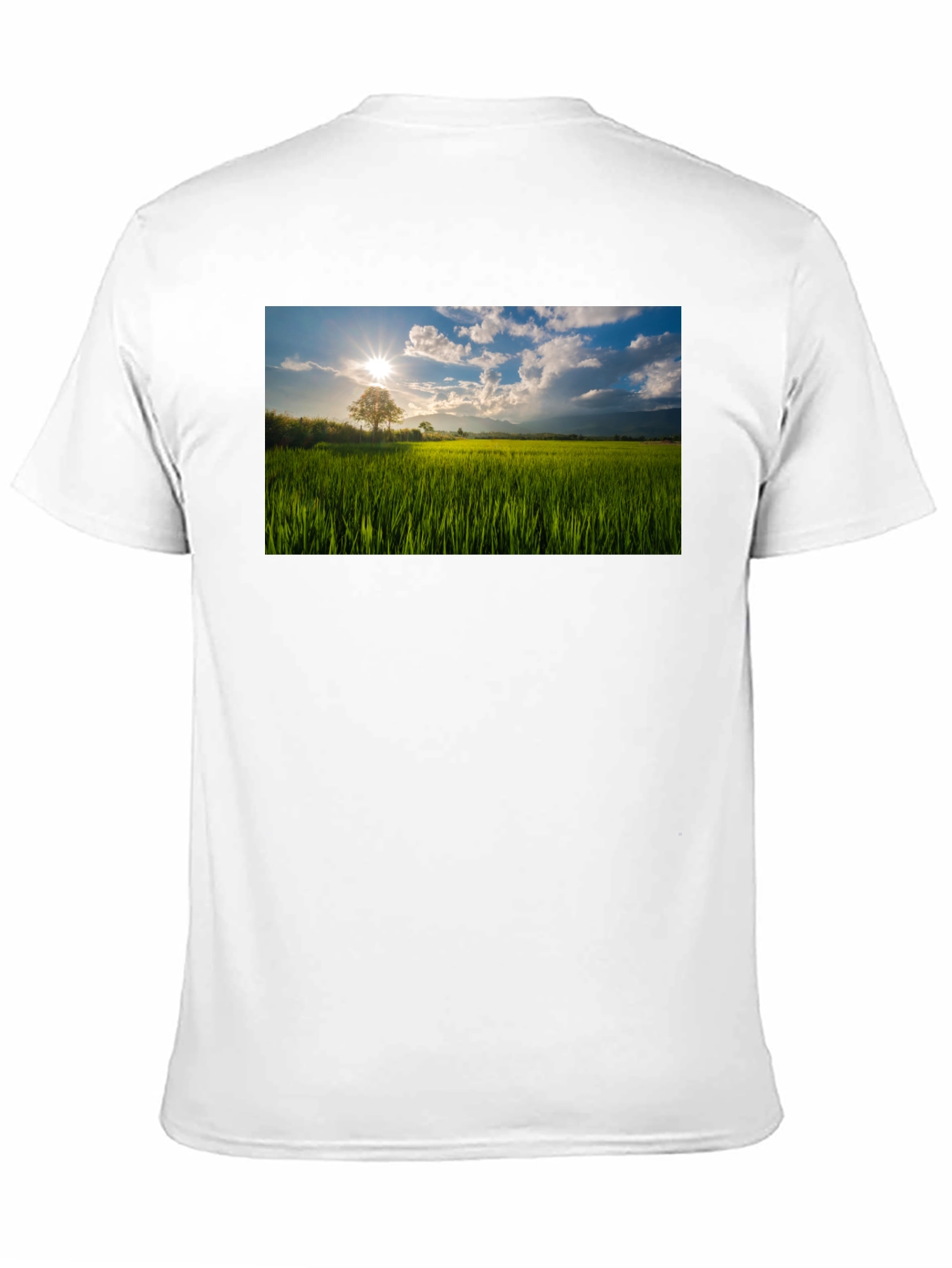 Scenic Field T-Shirt