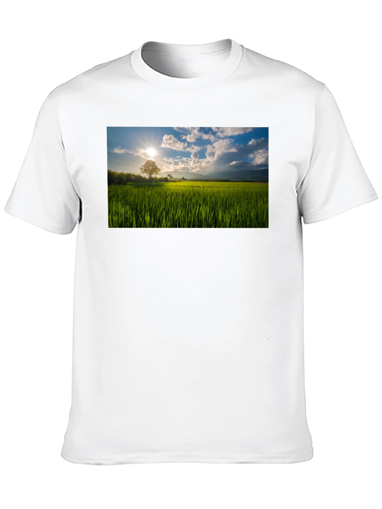Scenic Field T-Shirt