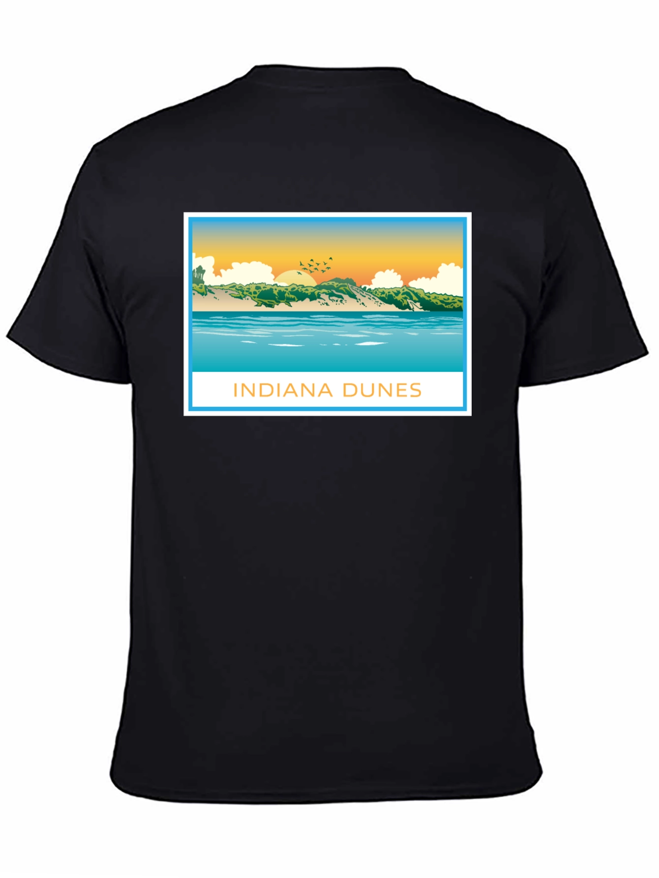 Indiana Dunes Graphic Tee - Black