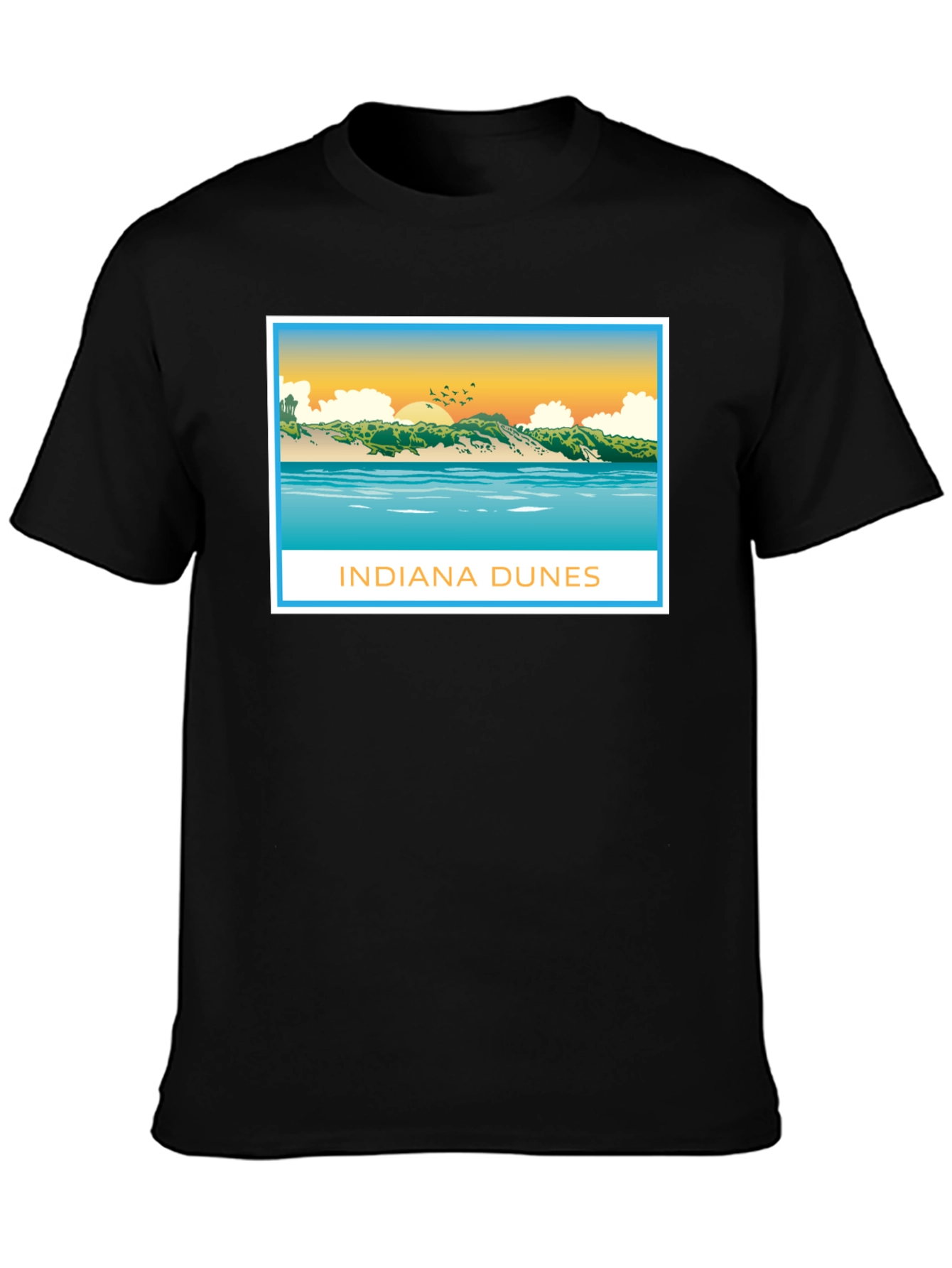 Indiana Dunes Graphic Tee - Black