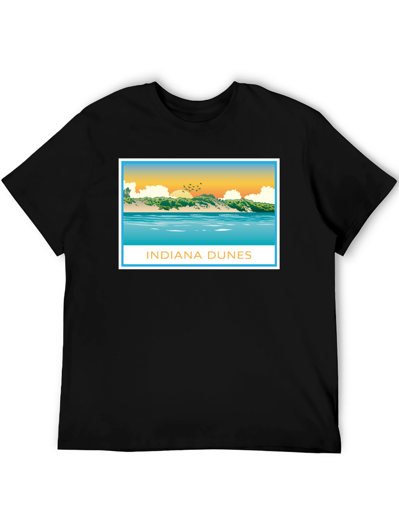 Indiana Dunes Graphic Tee - Black