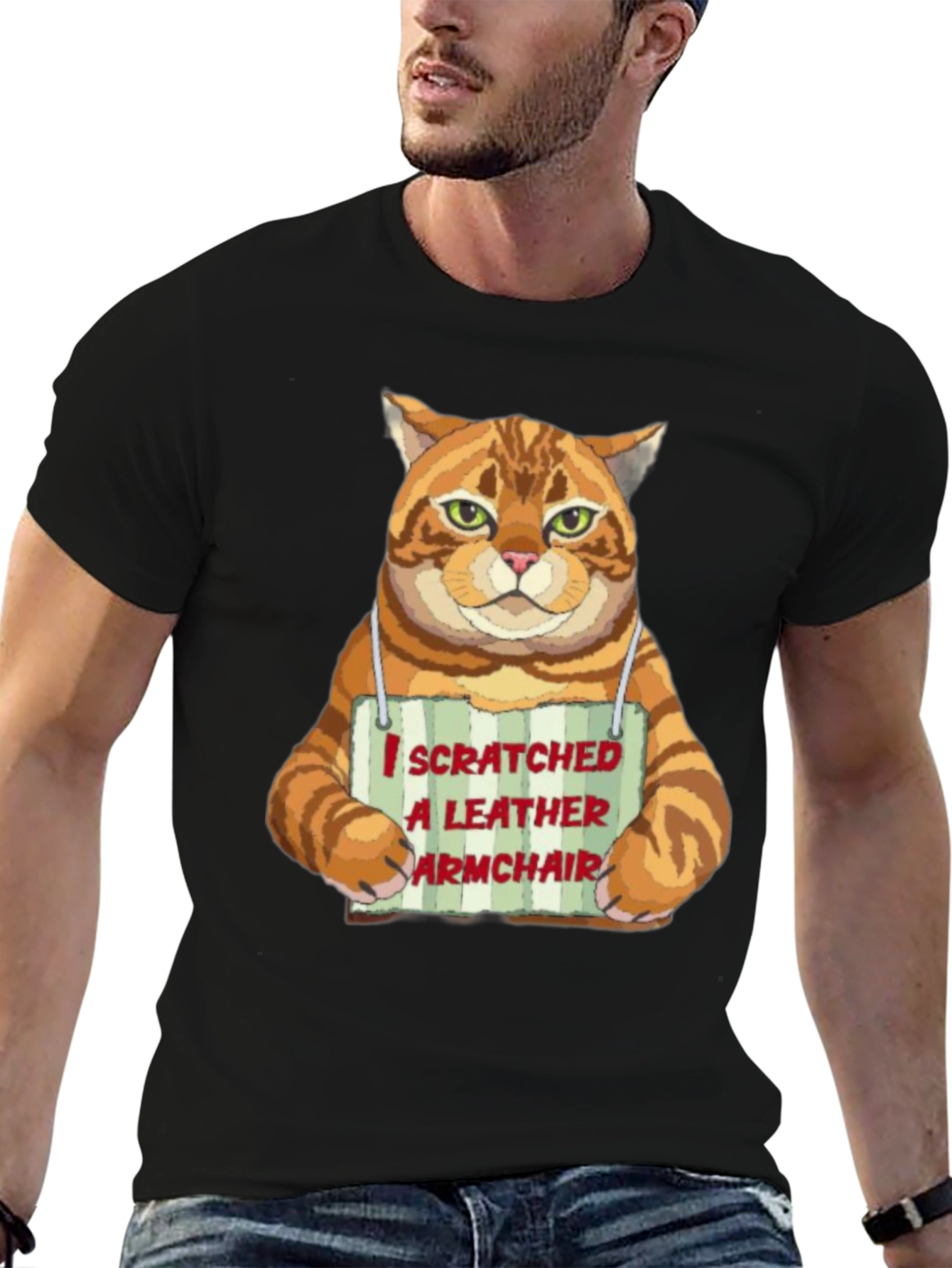 I Scratched a Leather Armchair Cat T-Shirt