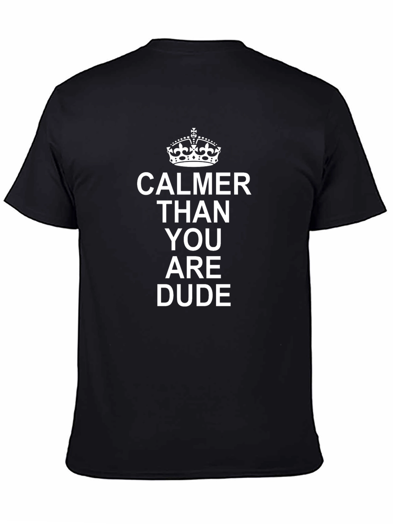 Calmer Than You Are Dude Black T-Shirt