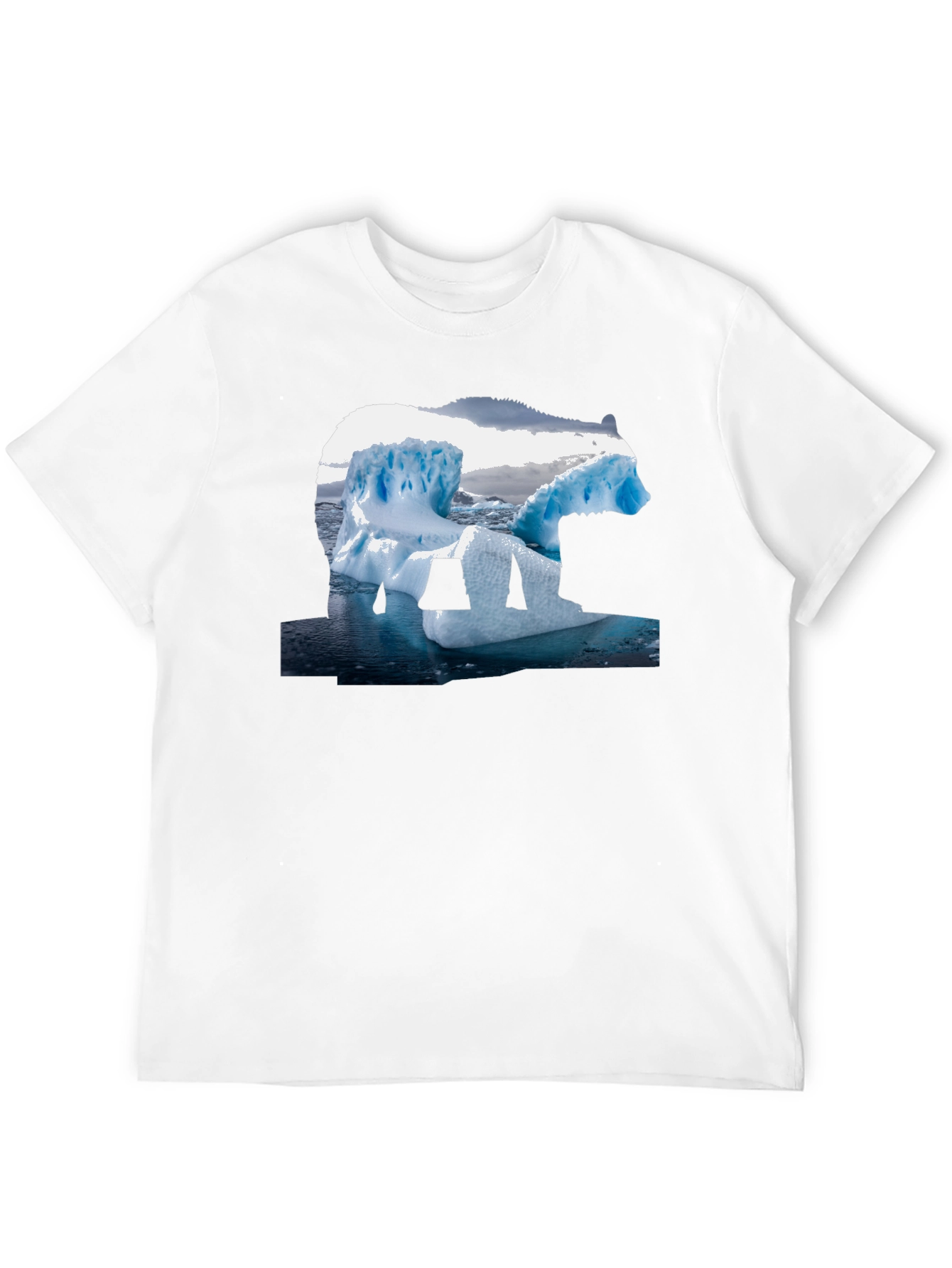 Polar Bear Iceberg Graphic Tee - Black Cotton T-Shirt