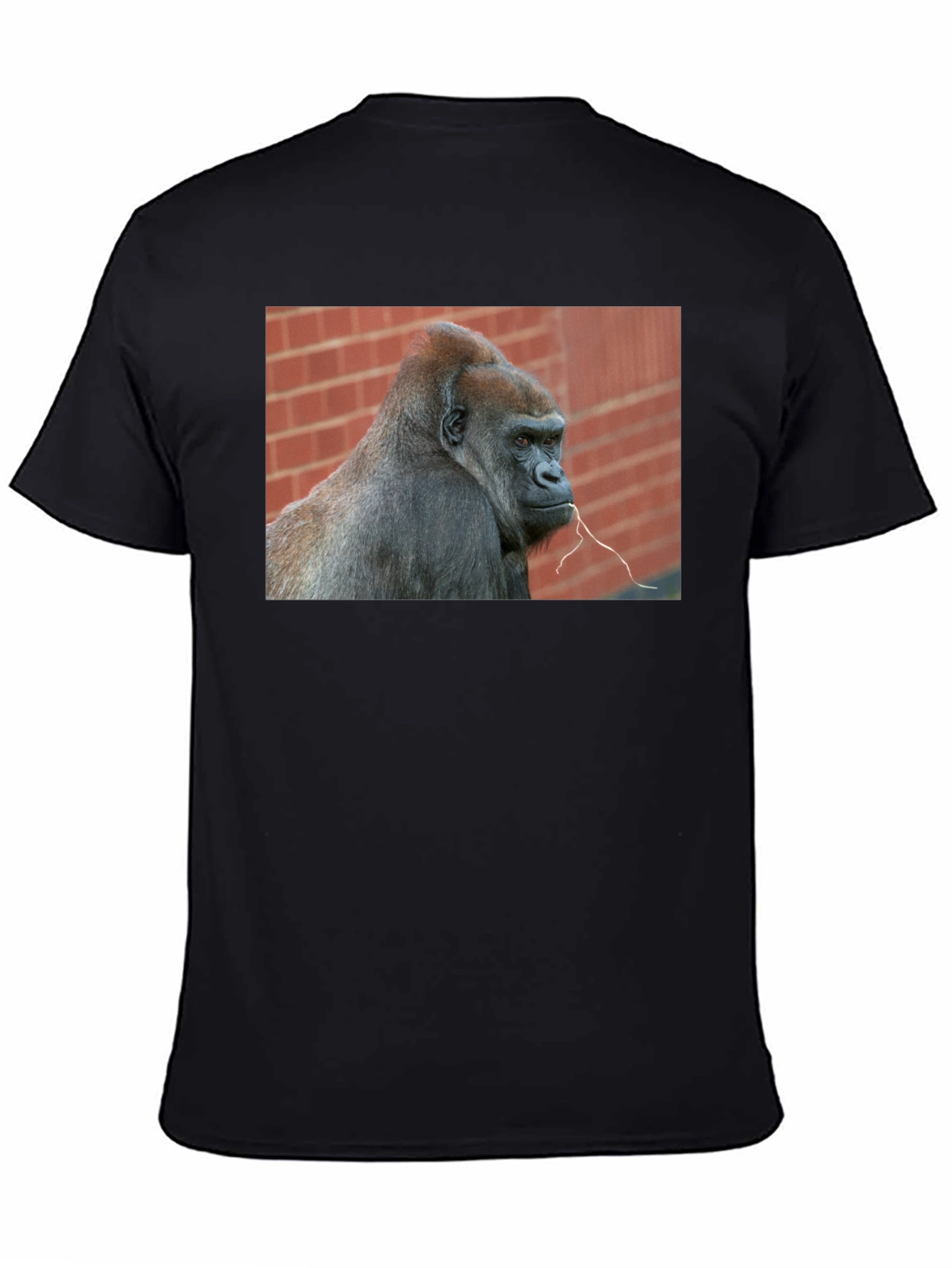 Gorilla Graphic T-Shirt - Premium Unisex Tee